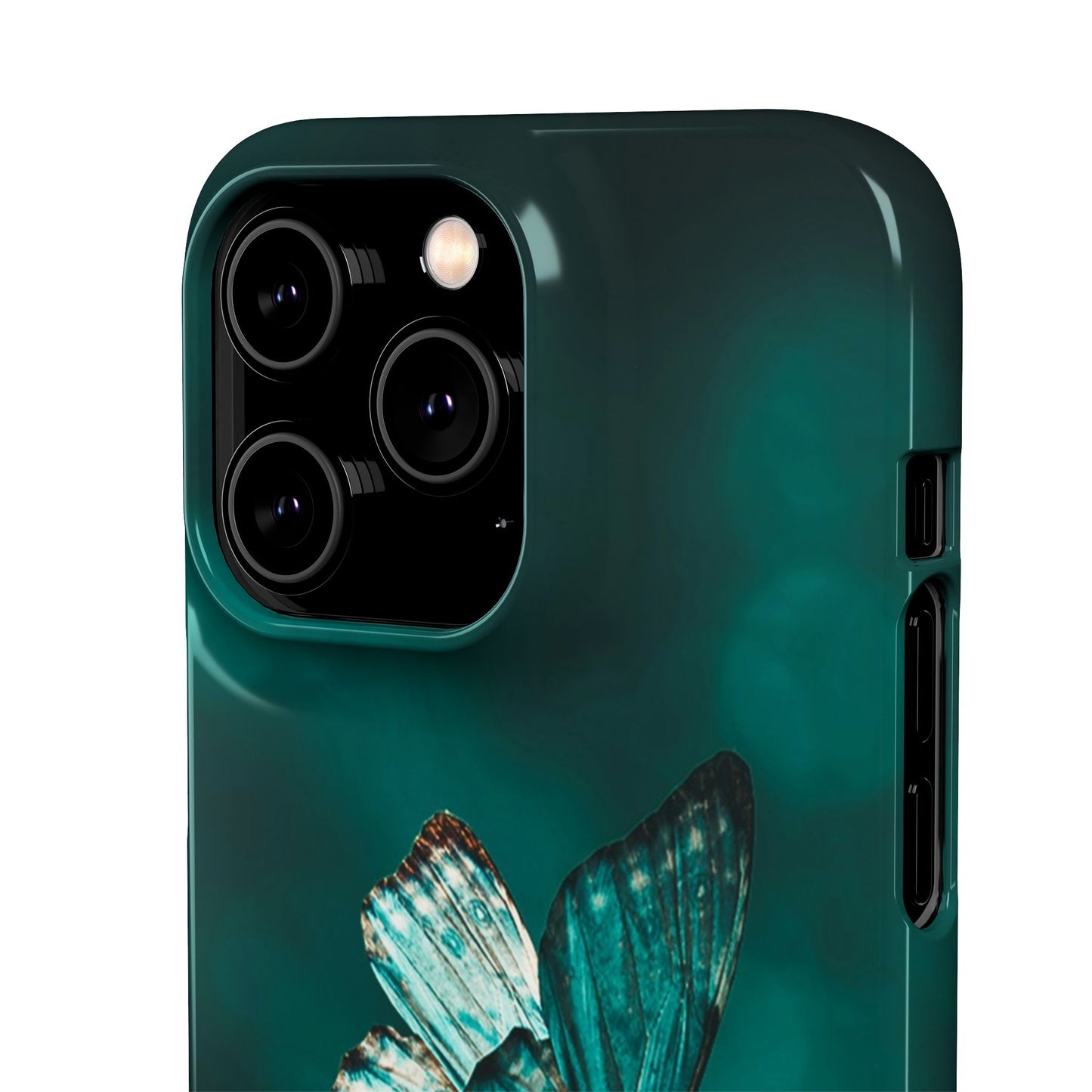 Butterfly Cajasol - Perfect for Nature Lovers