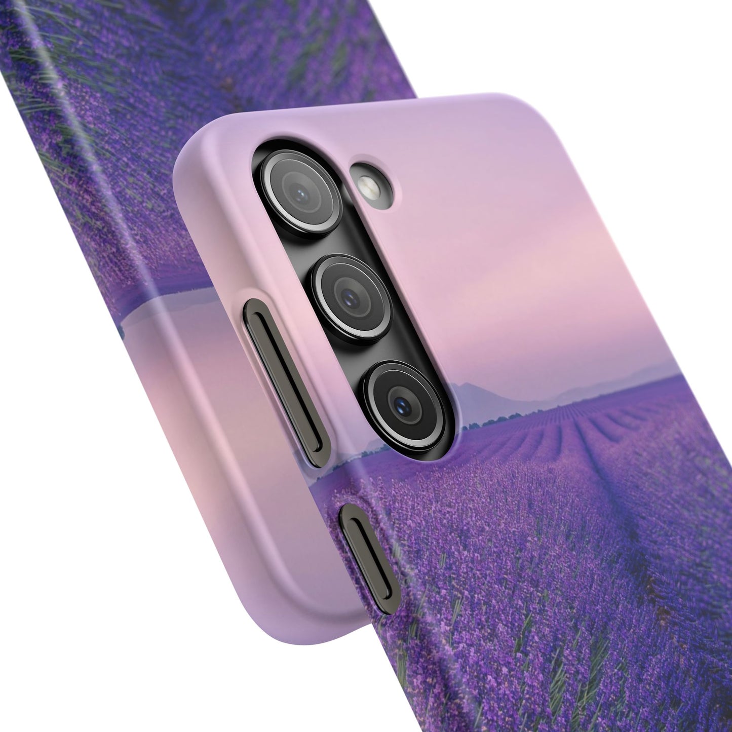 Lavender Fields Cajasol - A Floral Touch for Nature Lovers