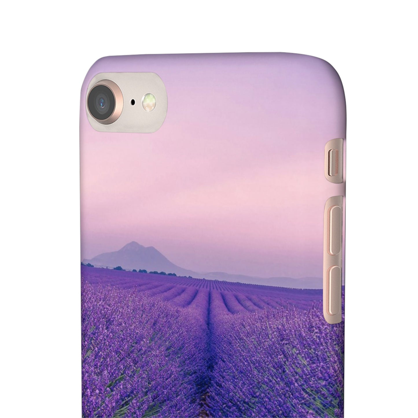 Lavender Fields Cajasol - A Floral Touch for Nature Lovers