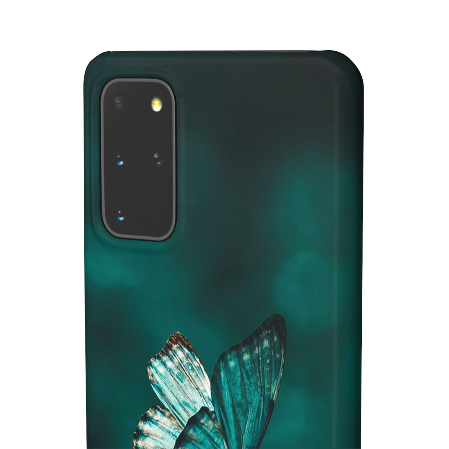 Butterfly Cajasol - Perfect for Nature Lovers
