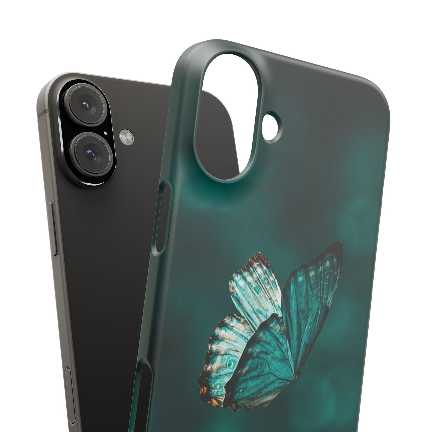 Butterfly Cajasol - Perfect for Nature Lovers