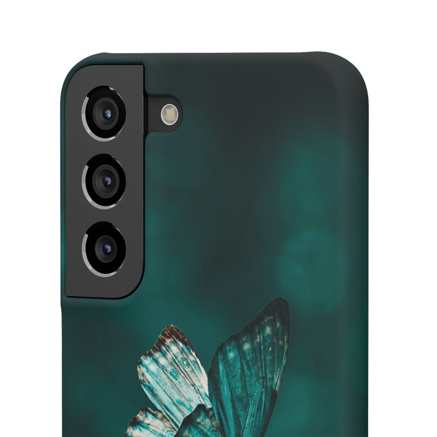 Butterfly Cajasol - Perfect for Nature Lovers