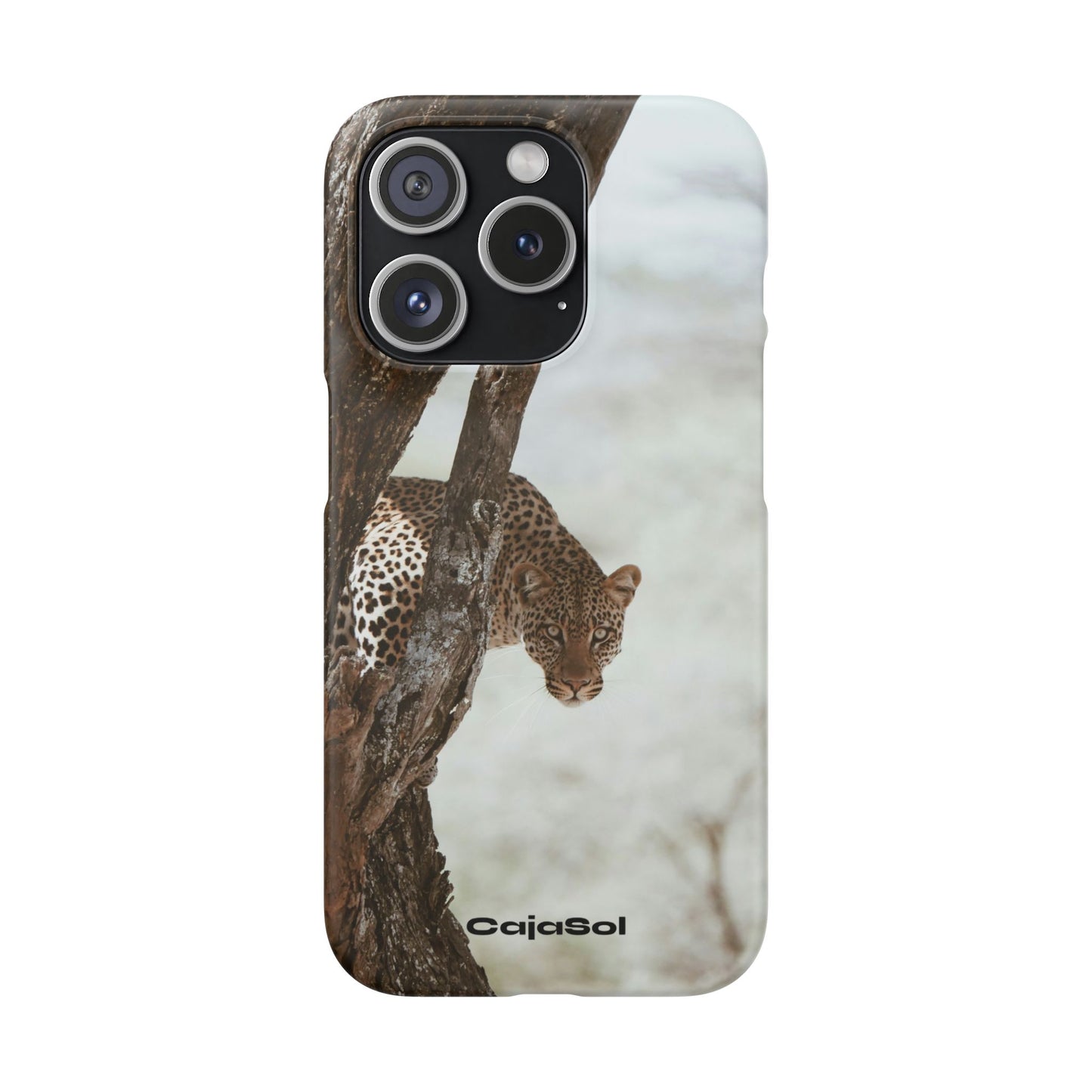 Leopard Cajasol - Wildlife Vibes