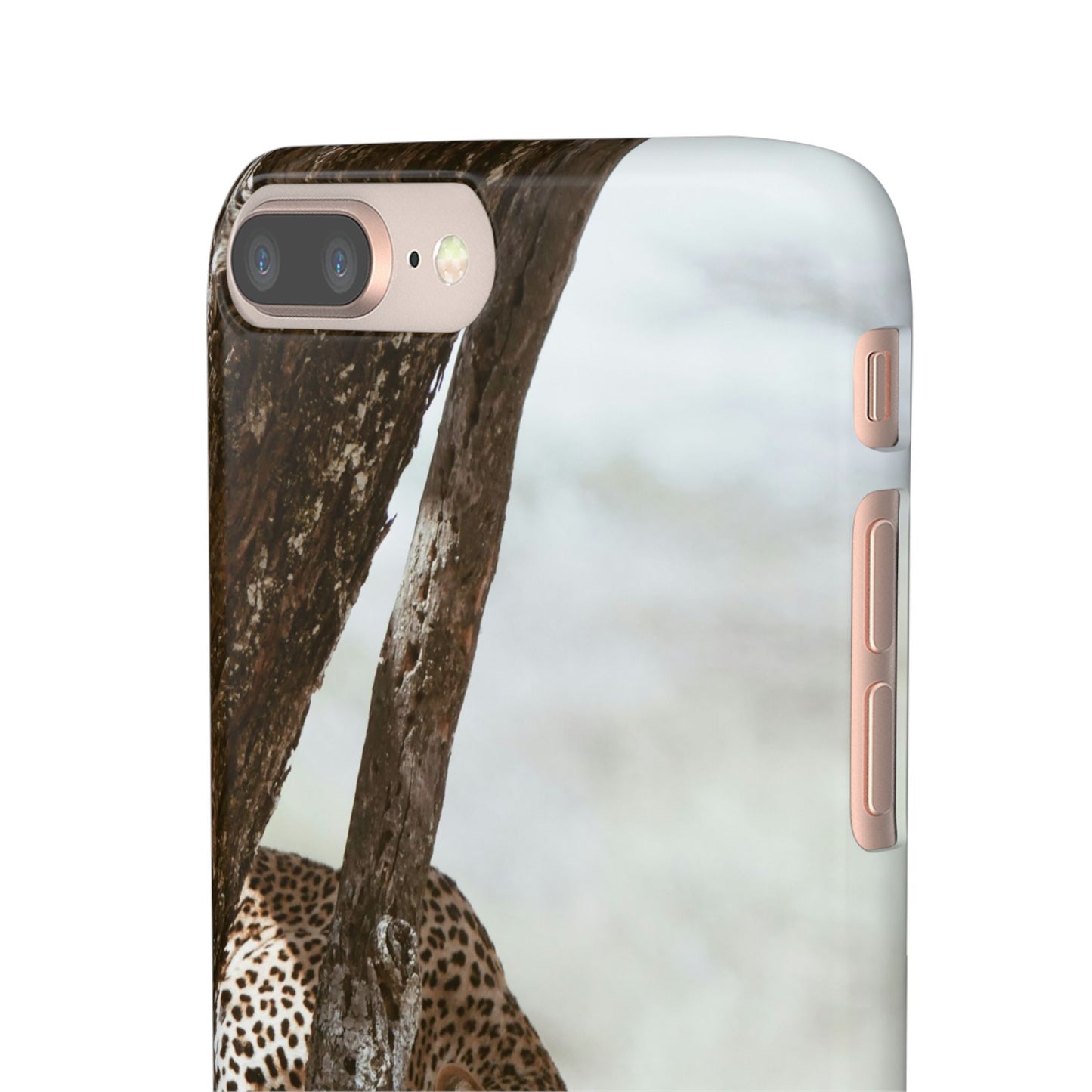 Leopard Cajasol - Wildlife Vibes