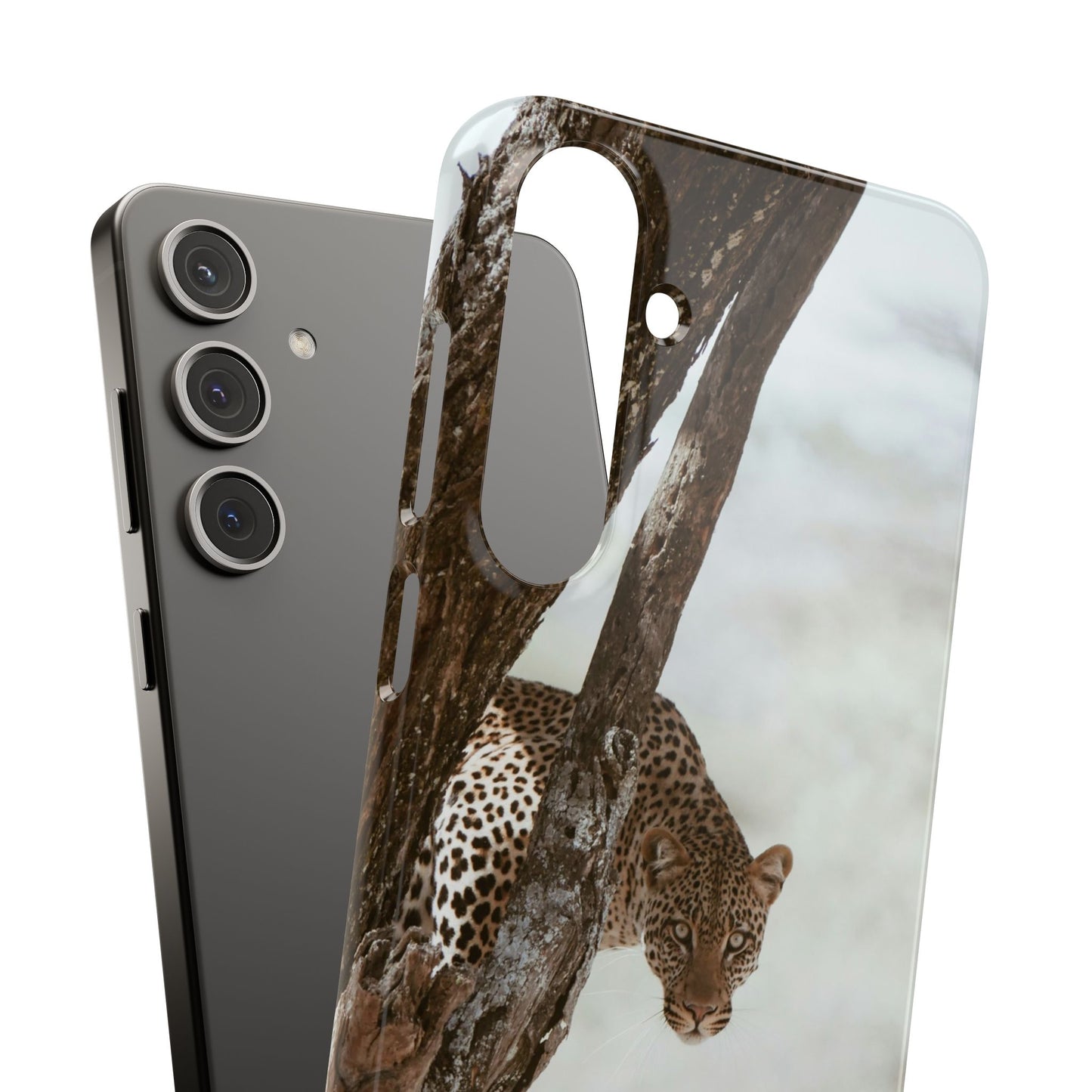 Leopard Cajasol - Wildlife Vibes