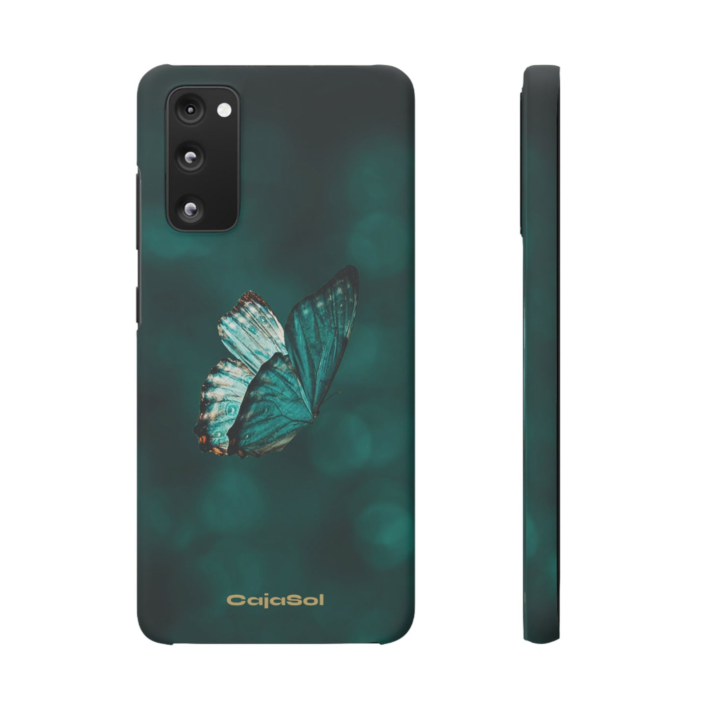 Butterfly Cajasol - Perfect for Nature Lovers