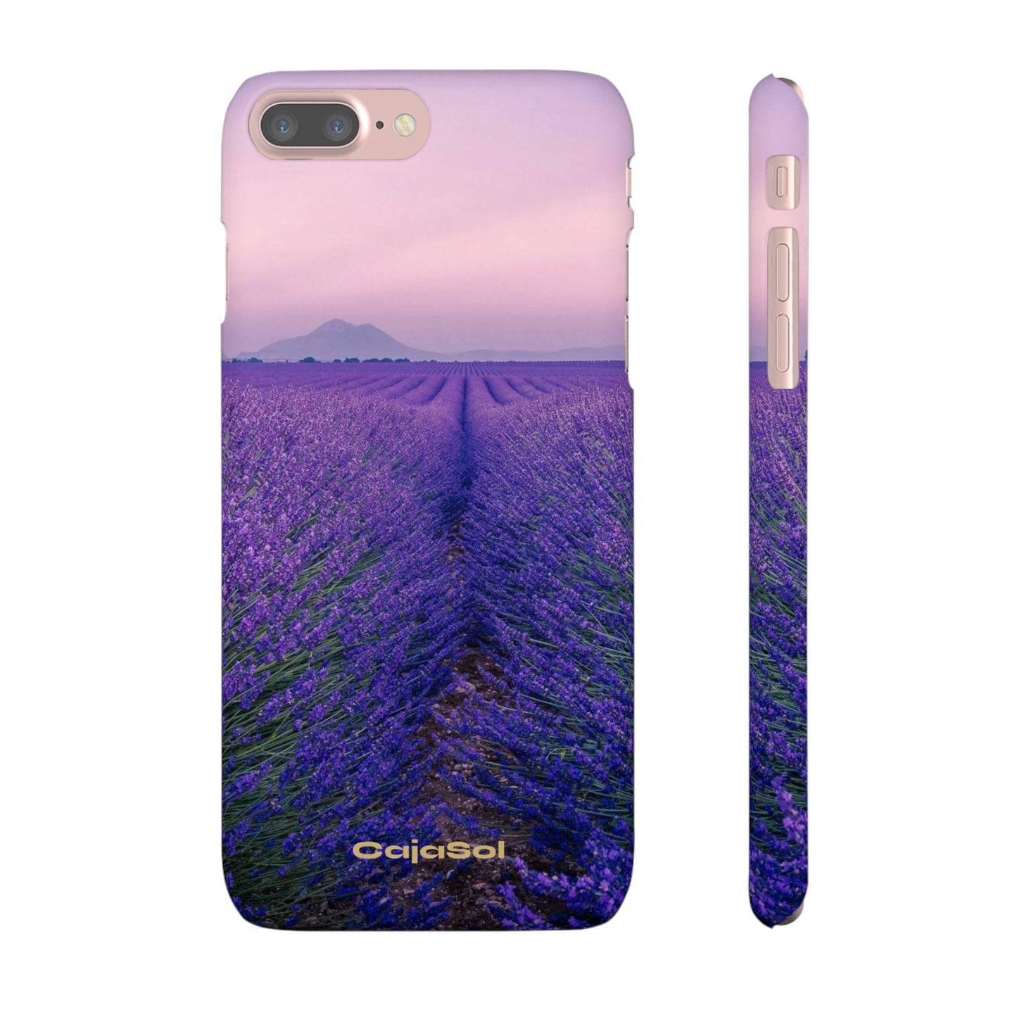Lavender Fields Cajasol - A Floral Touch for Nature Lovers