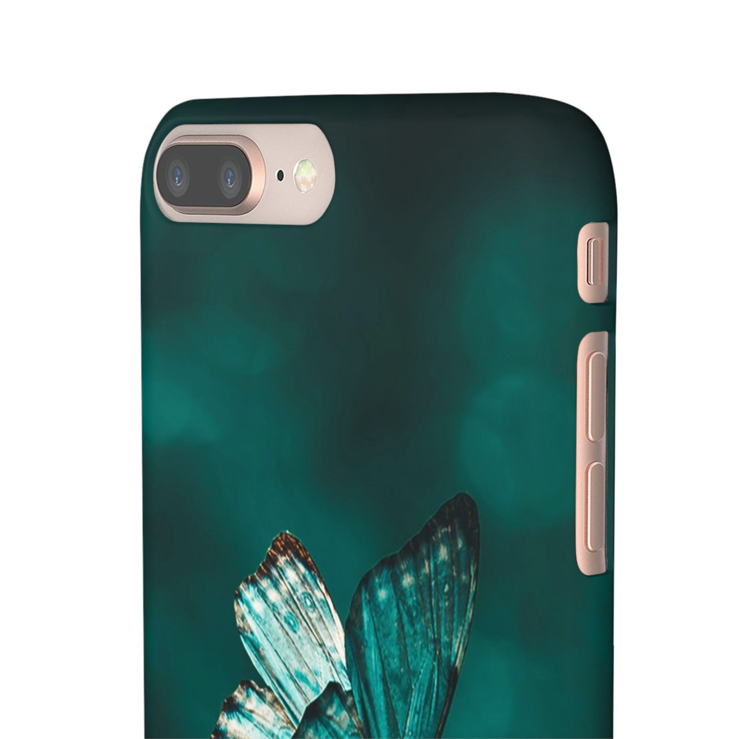 Butterfly Cajasol - Perfect for Nature Lovers