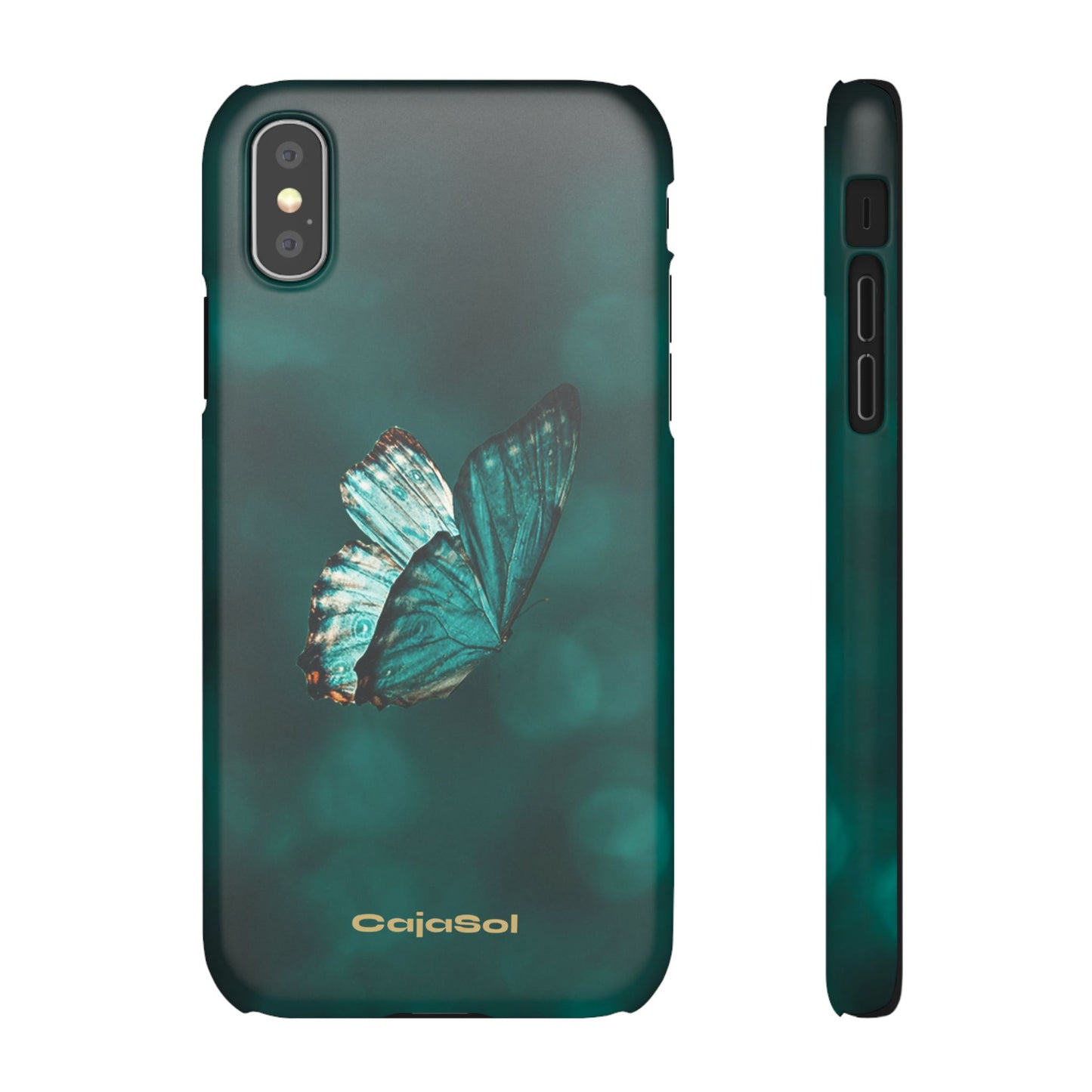 Butterfly Cajasol - Perfect for Nature Lovers