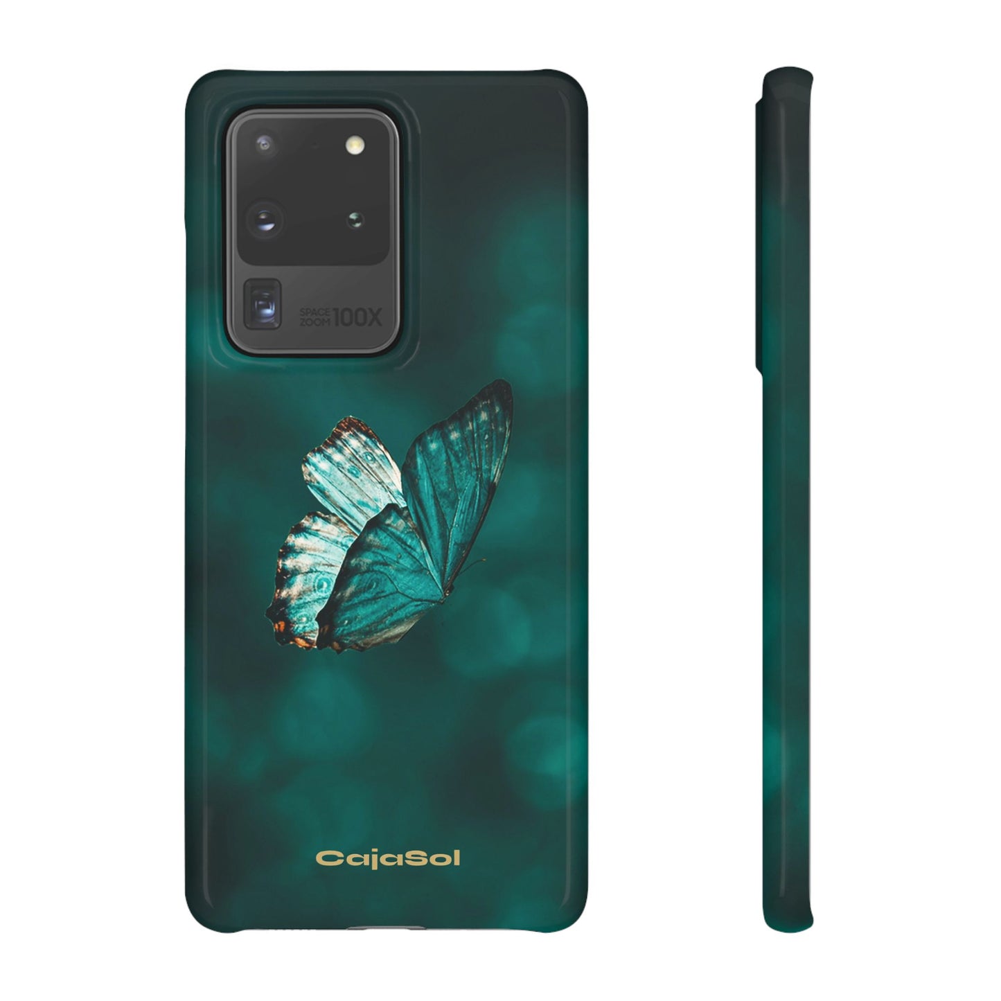 Butterfly Cajasol - Perfect for Nature Lovers