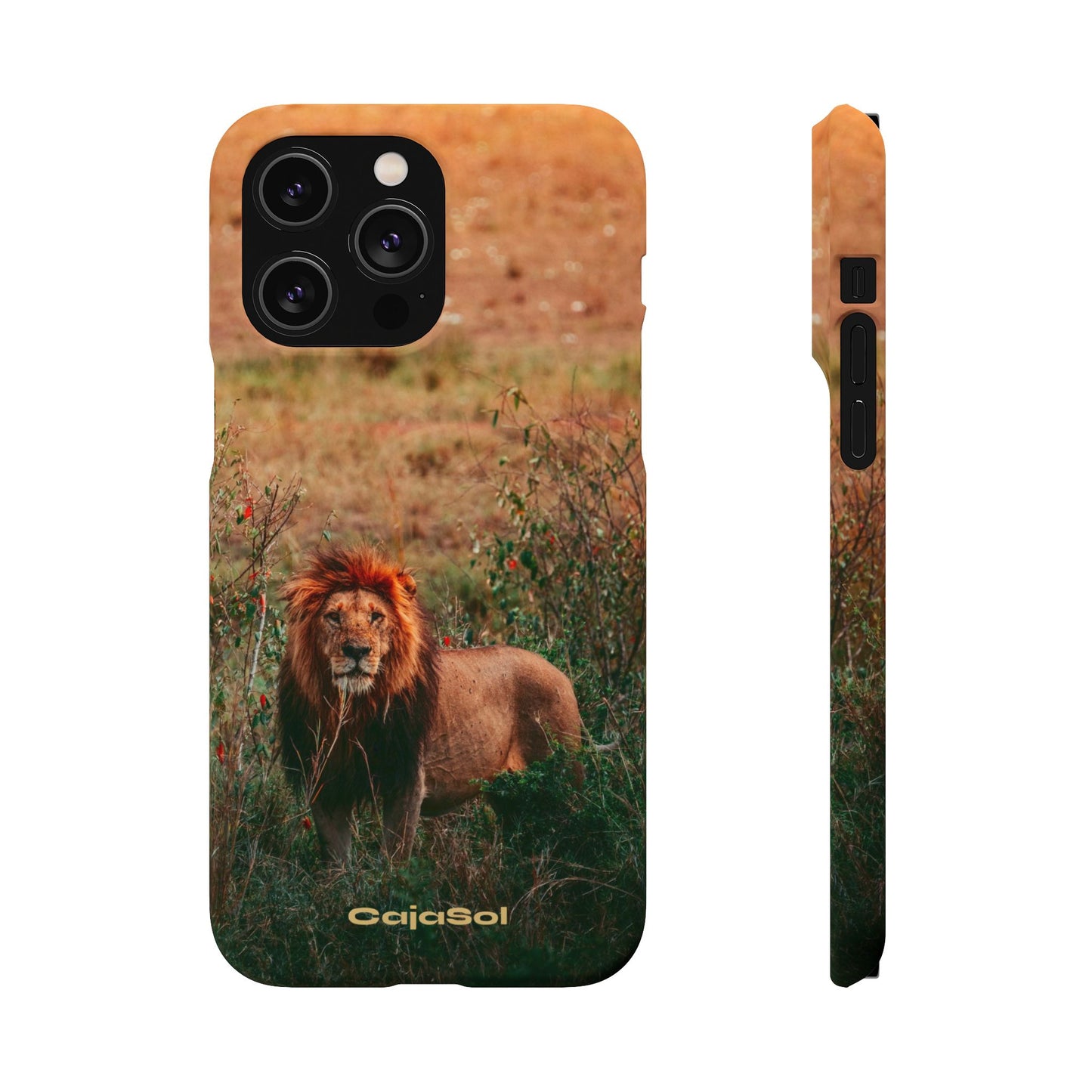 Majestic Lion Cajasol - Nature Inspired