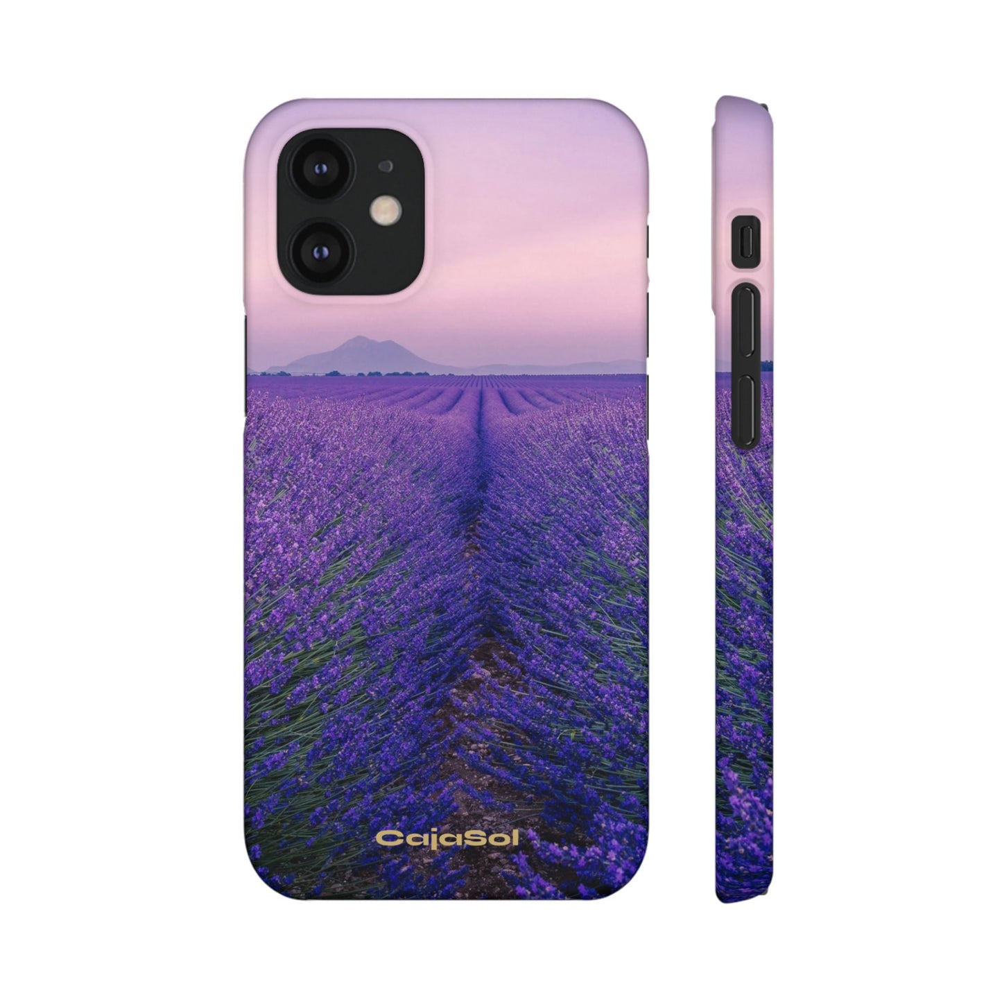 Lavender Fields Cajasol - A Floral Touch for Nature Lovers