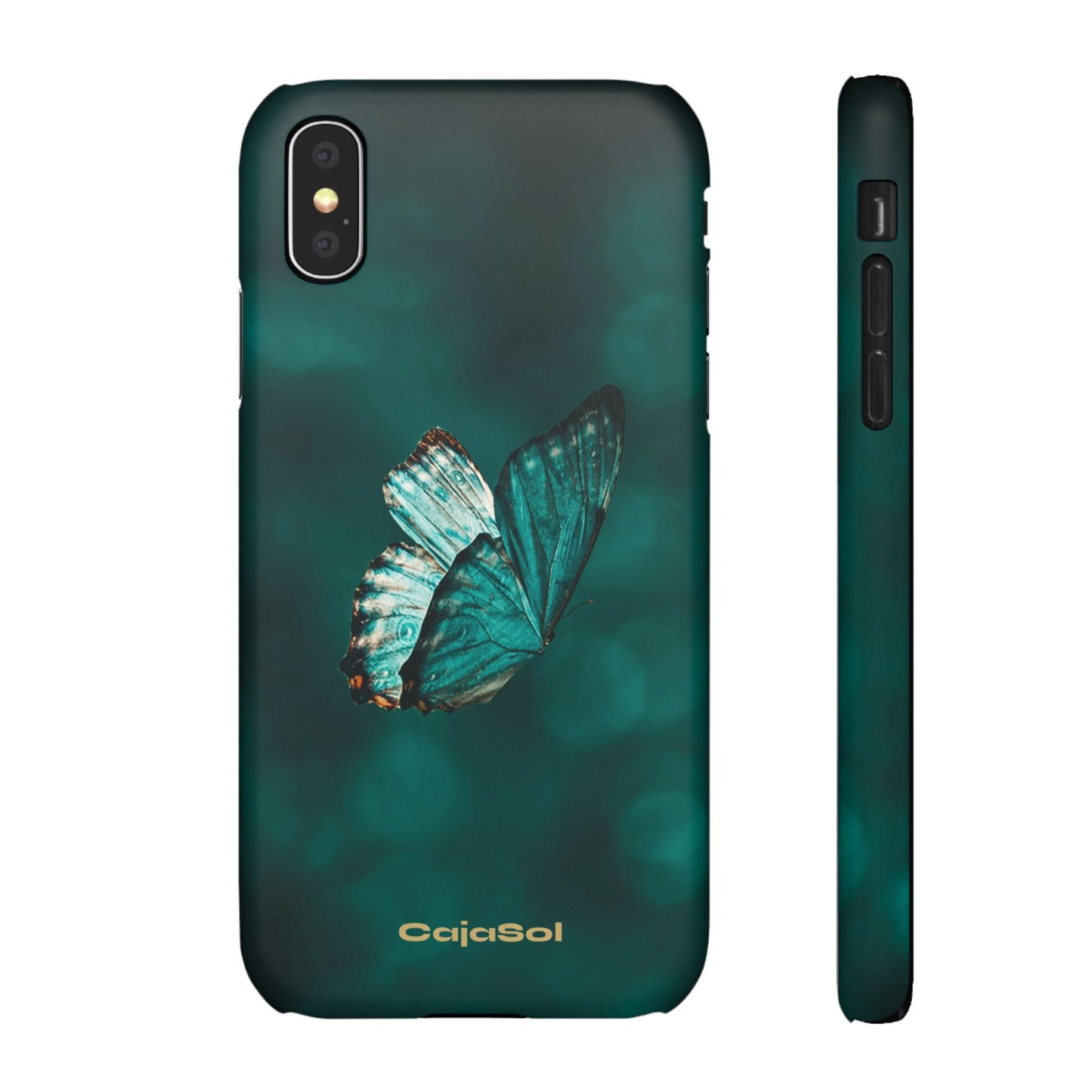 Butterfly Cajasol - Perfect for Nature Lovers