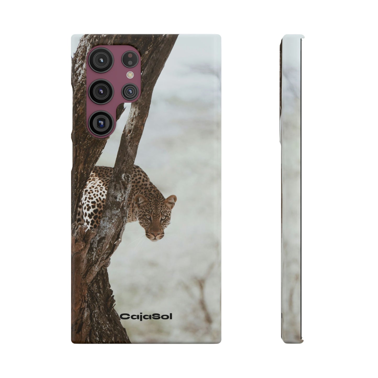 Leopard Cajasol - Wildlife Vibes
