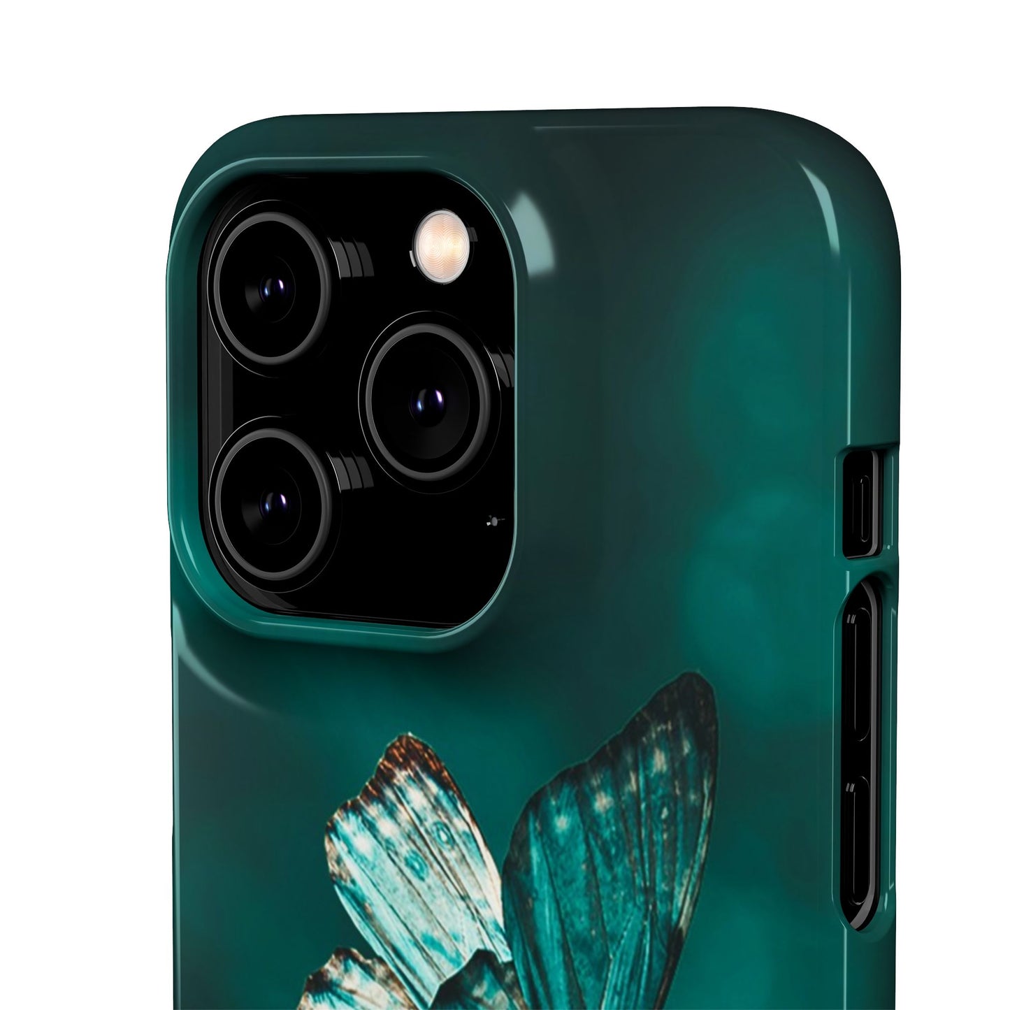 Butterfly Cajasol - Perfect for Nature Lovers