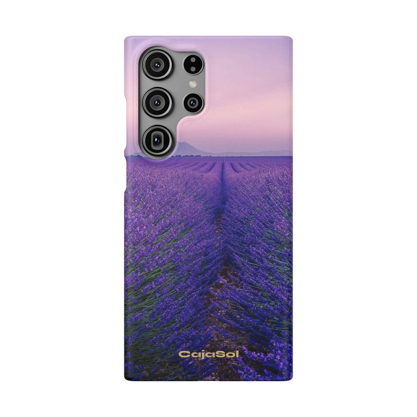 Lavender Fields Cajasol - A Floral Touch for Nature Lovers