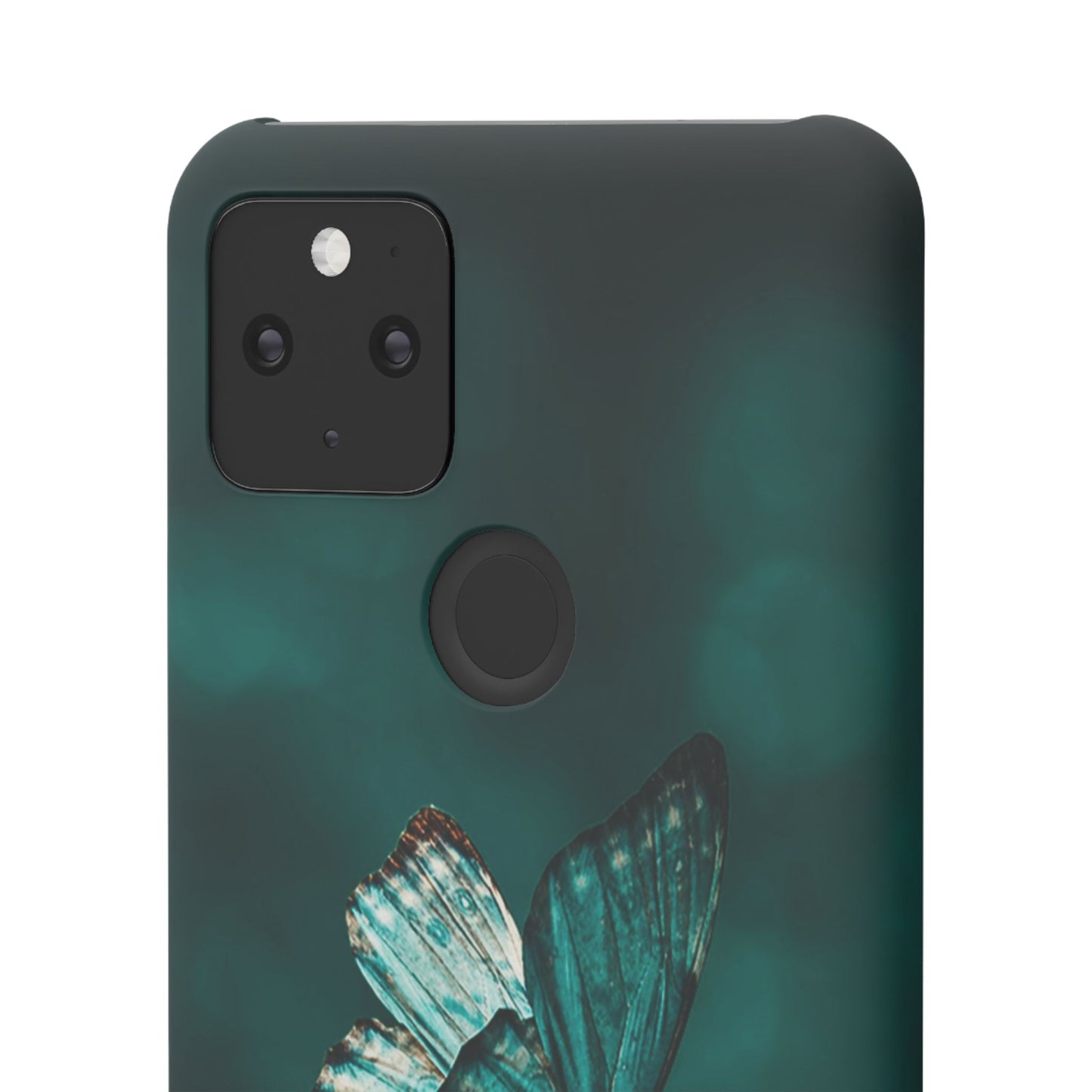 Butterfly Cajasol - Perfect for Nature Lovers