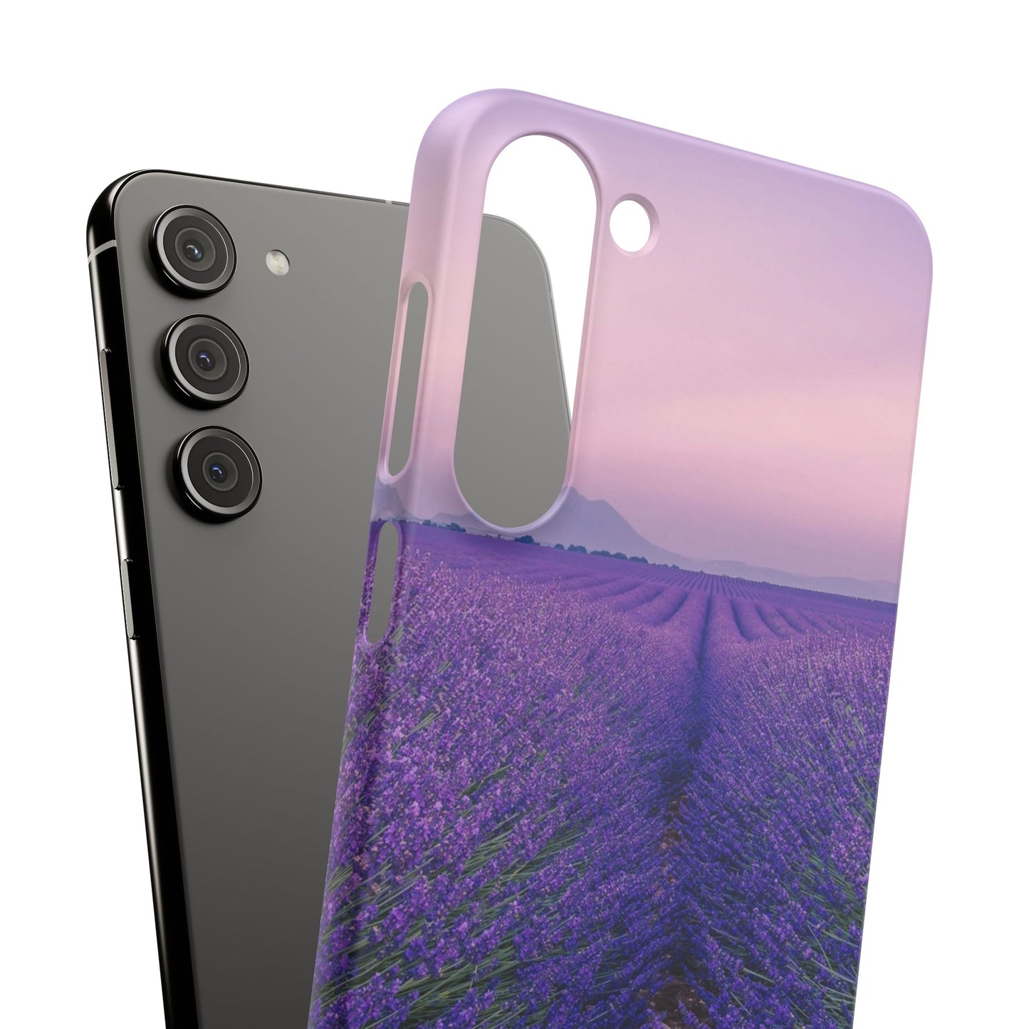 Lavender Fields Cajasol - A Floral Touch for Nature Lovers