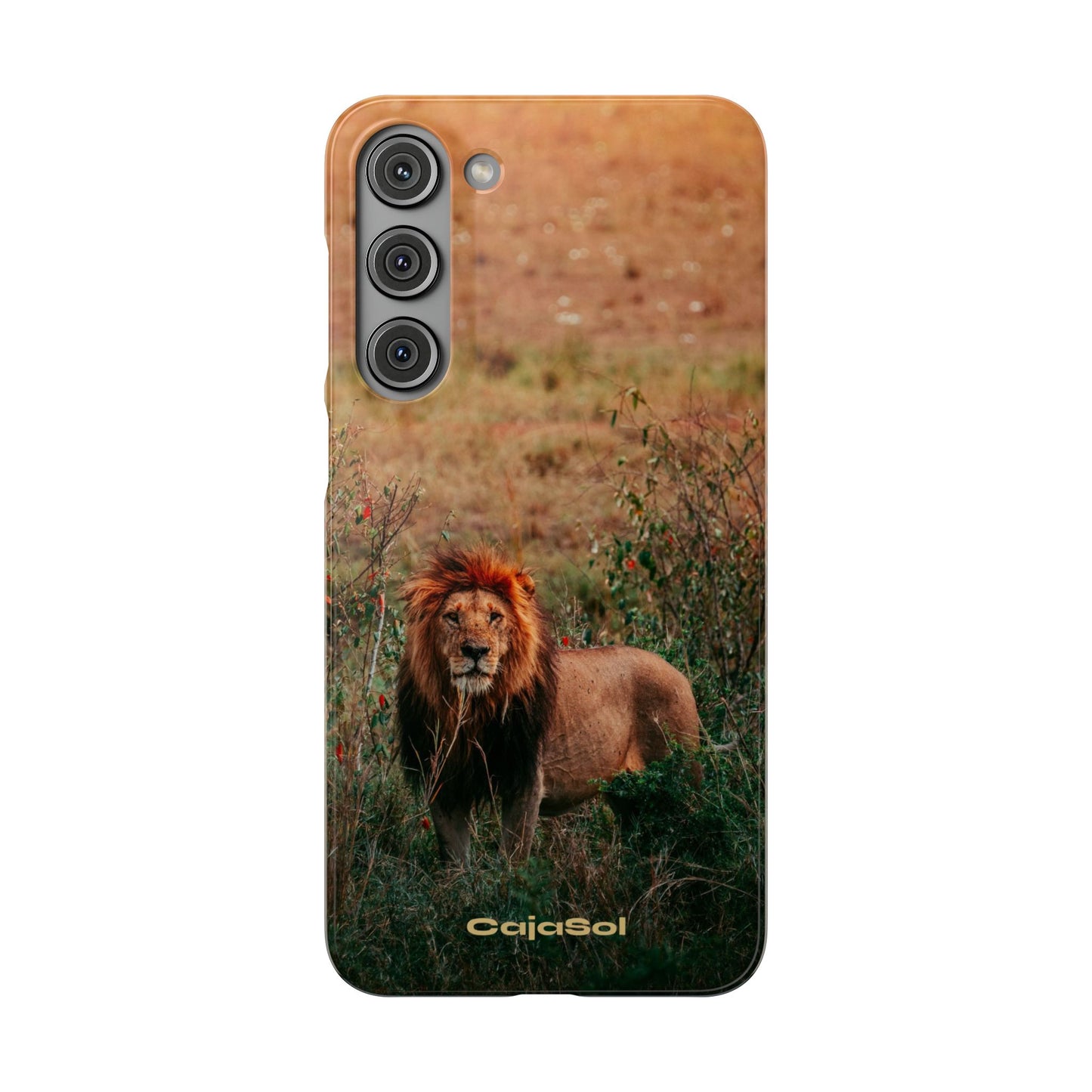 Majestic Lion Cajasol - Nature Inspired
