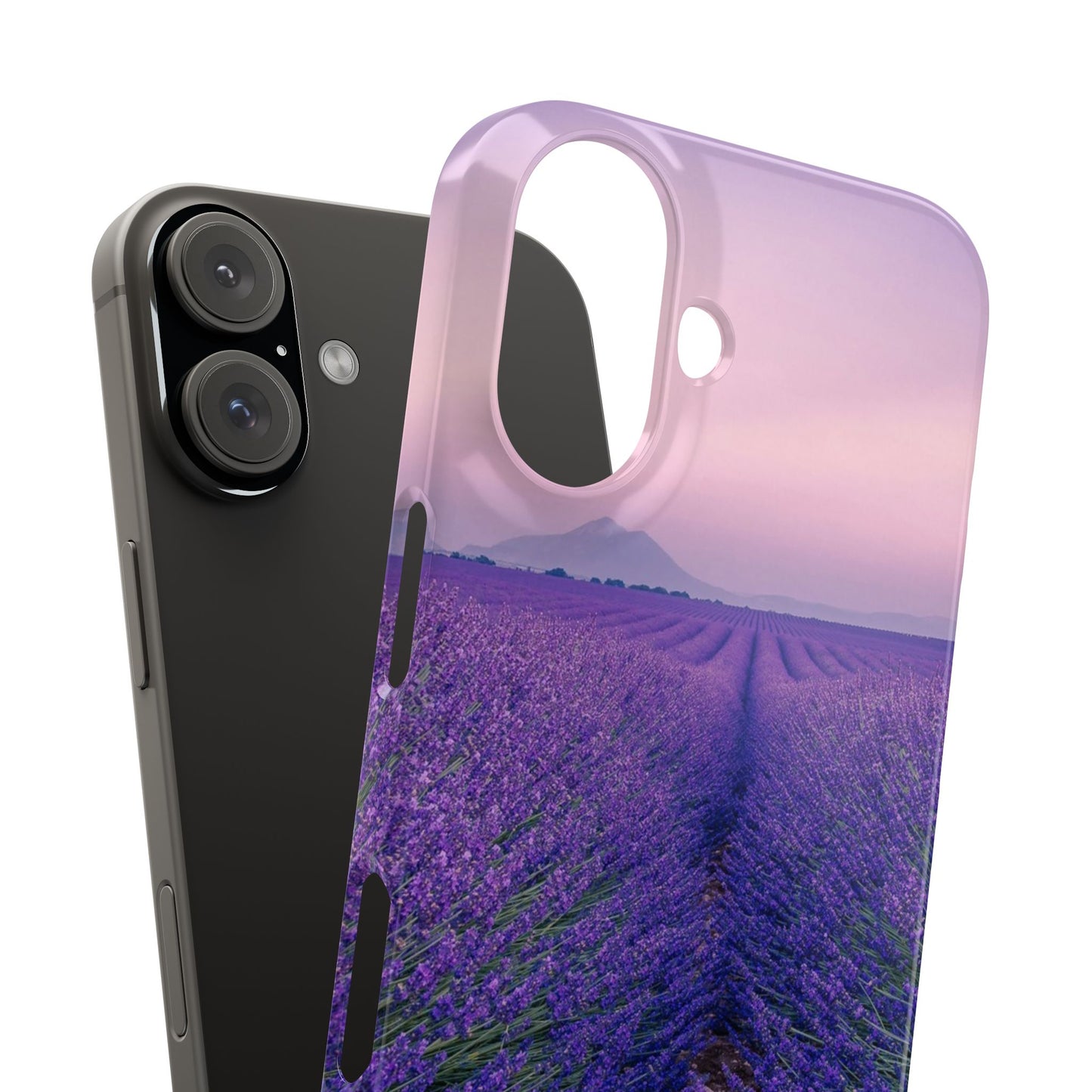 Lavender Fields Cajasol - A Floral Touch for Nature Lovers