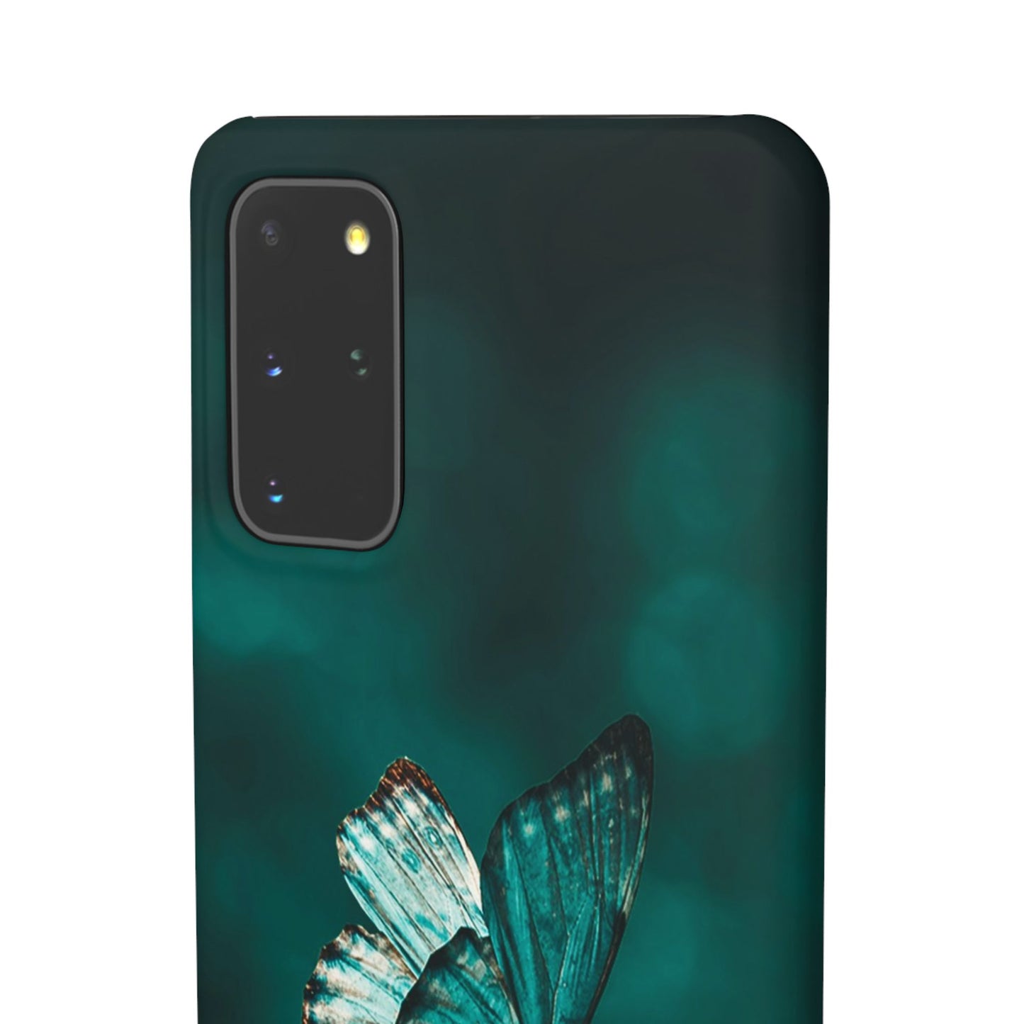 Butterfly Cajasol - Perfect for Nature Lovers