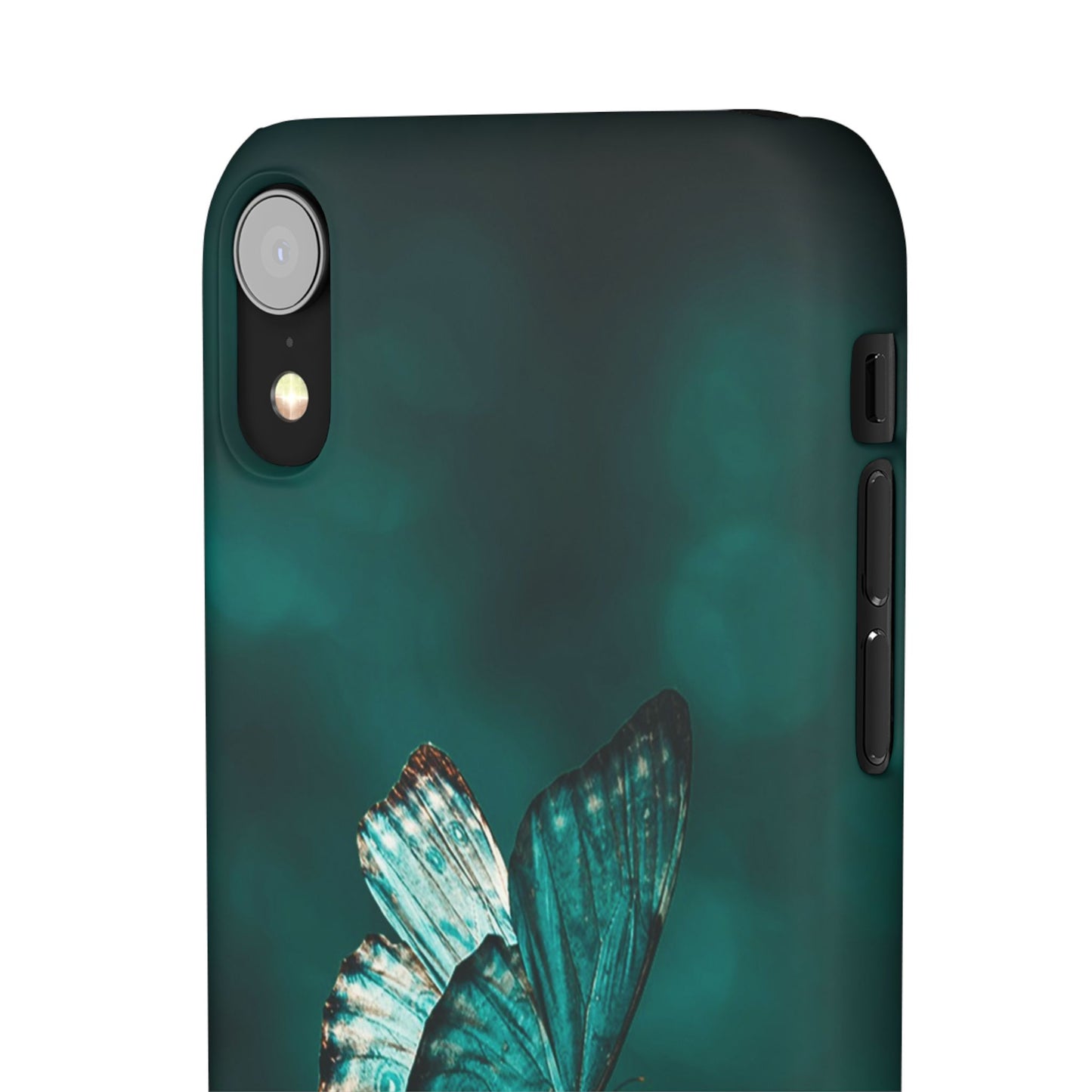 Butterfly Cajasol - Perfect for Nature Lovers