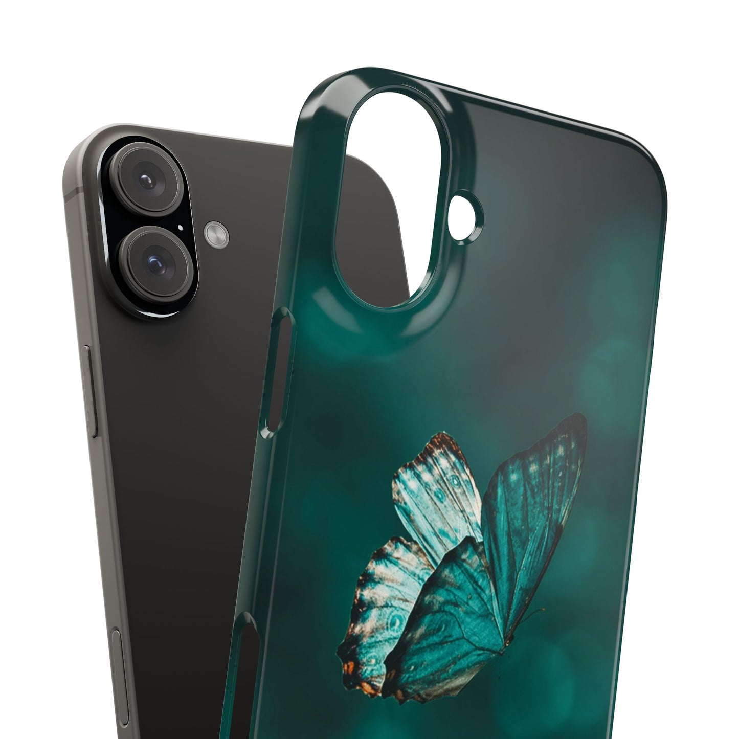 Butterfly Cajasol - Perfect for Nature Lovers