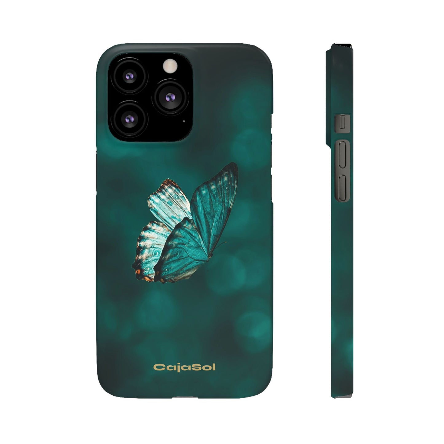Butterfly Cajasol - Perfect for Nature Lovers