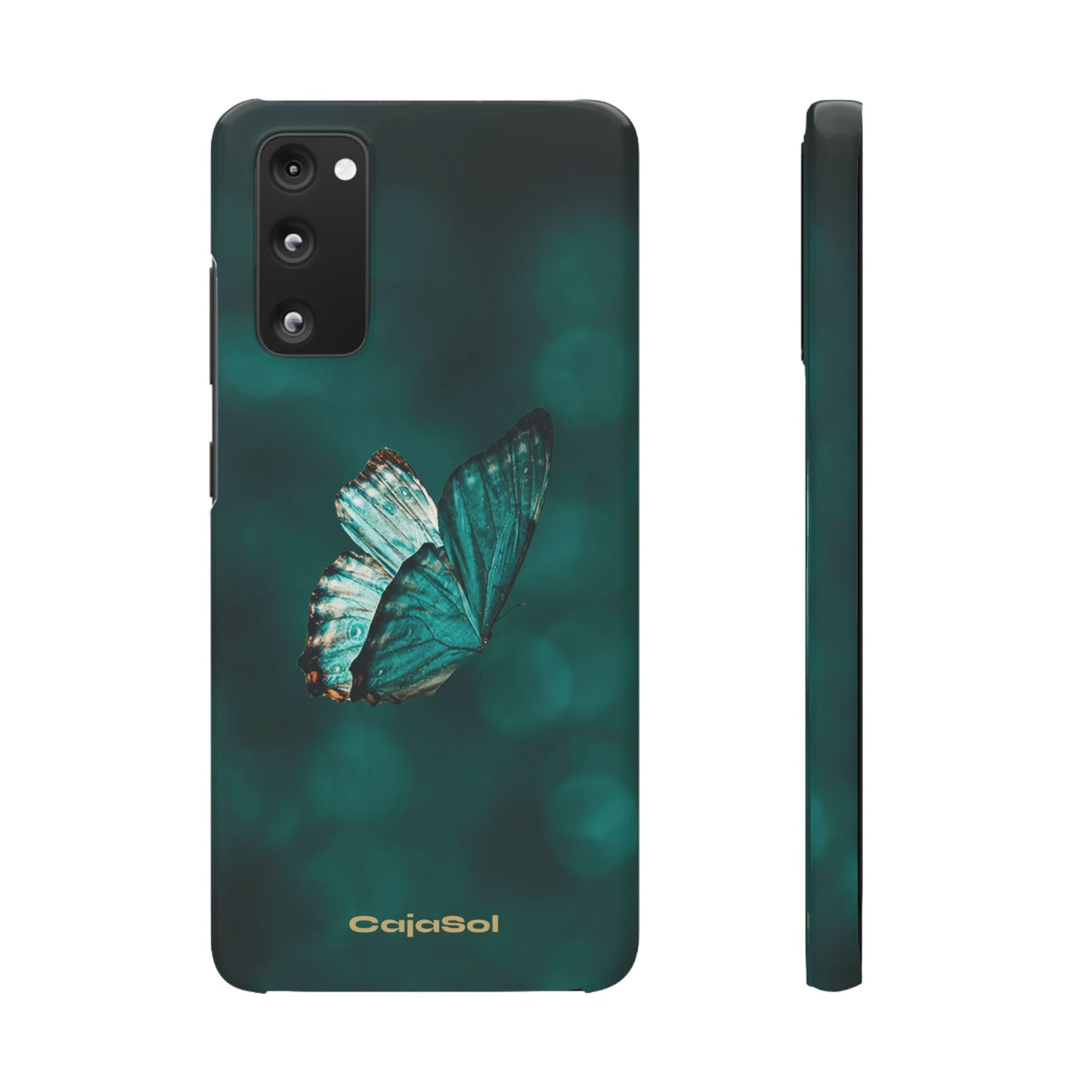 Butterfly Cajasol - Perfect for Nature Lovers