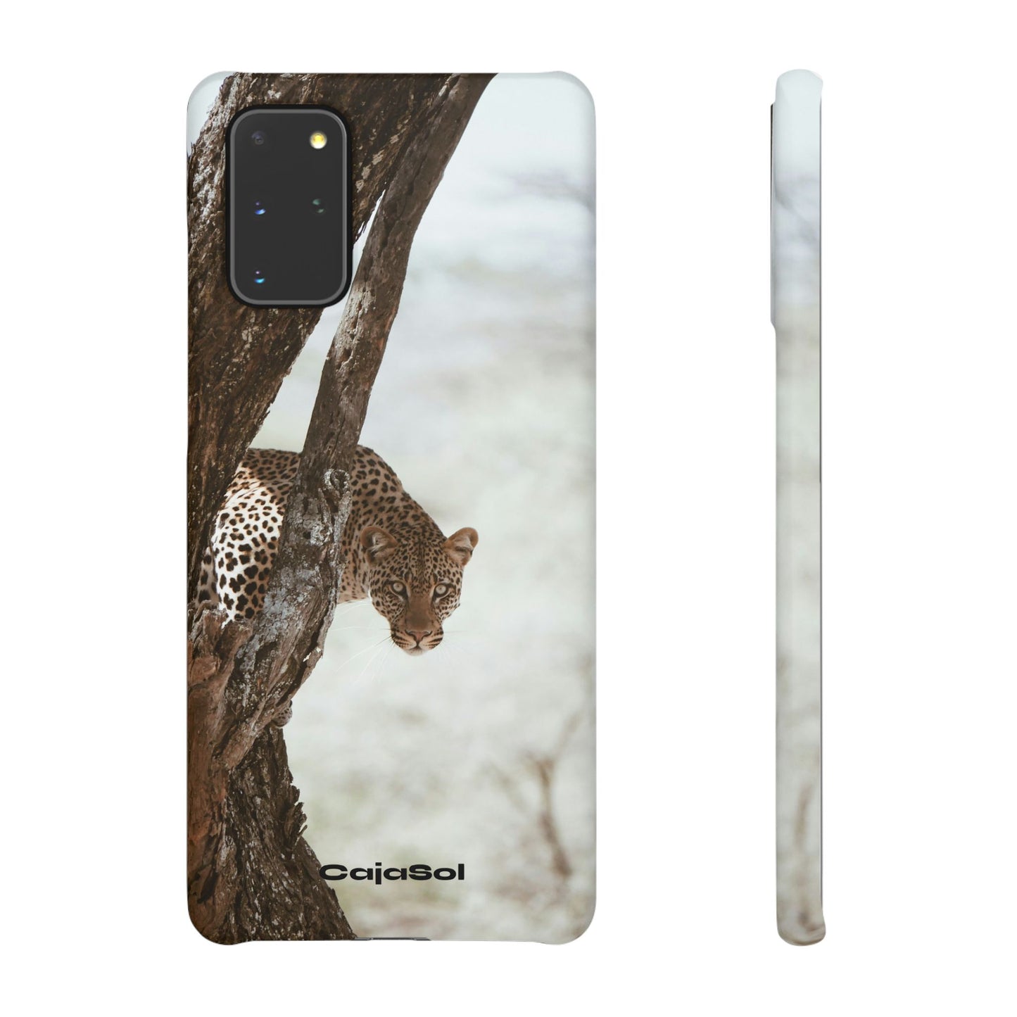Leopard Cajasol - Wildlife Vibes