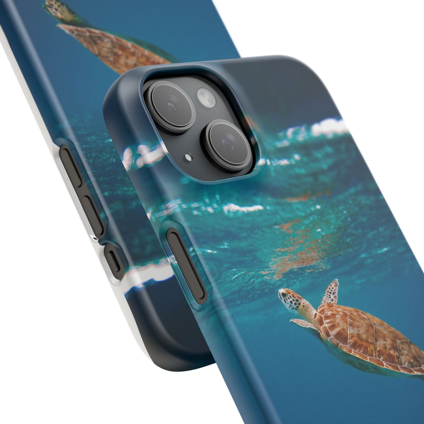 Sea Turtle Cajasol - Perfect for Beach Lovers