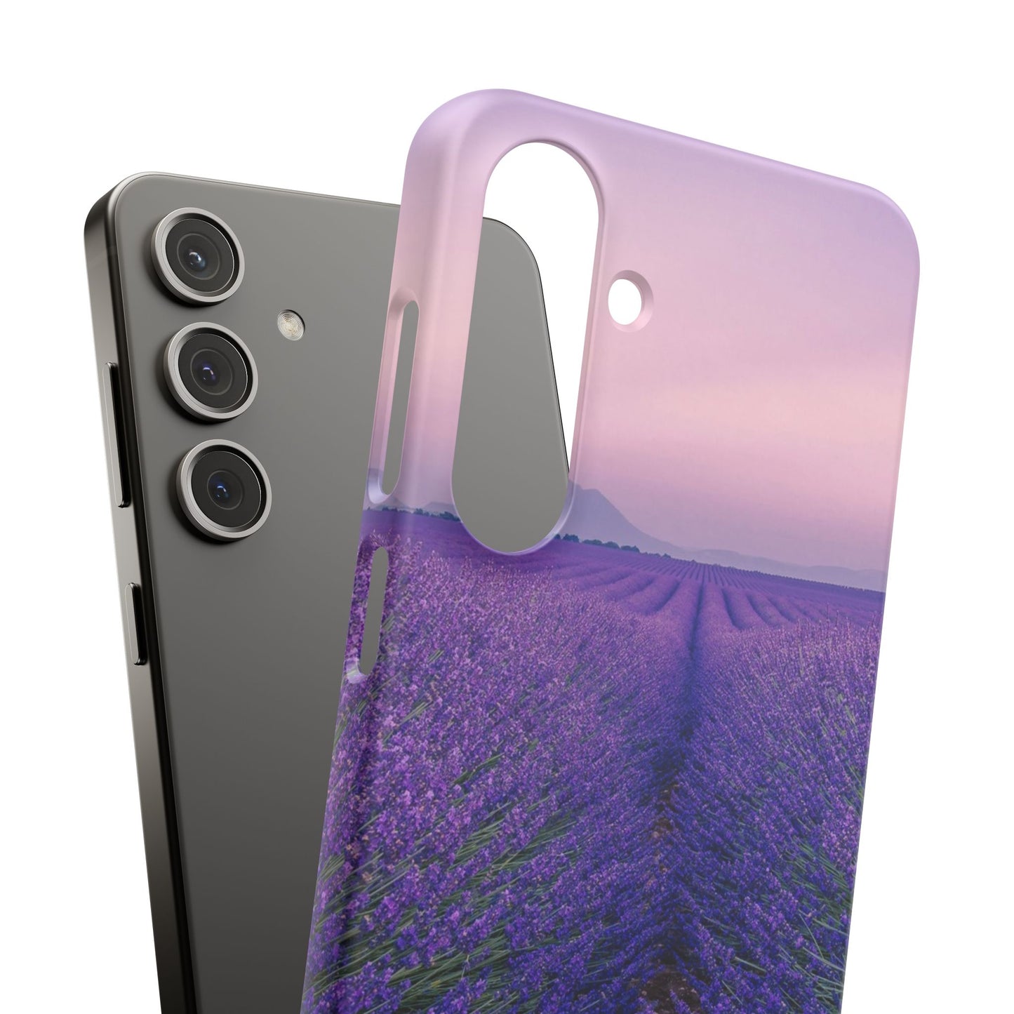 Lavender Fields Cajasol - A Floral Touch for Nature Lovers