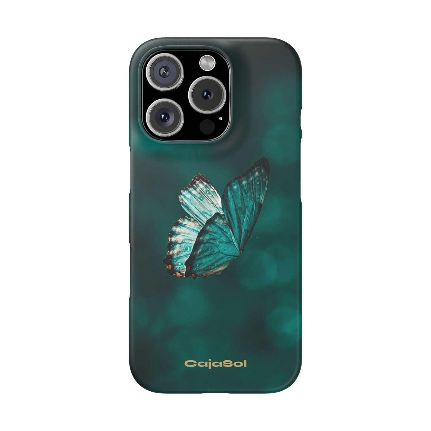 Butterfly Cajasol - Perfect for Nature Lovers