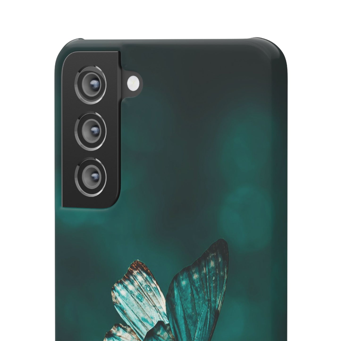 Butterfly Cajasol - Perfect for Nature Lovers
