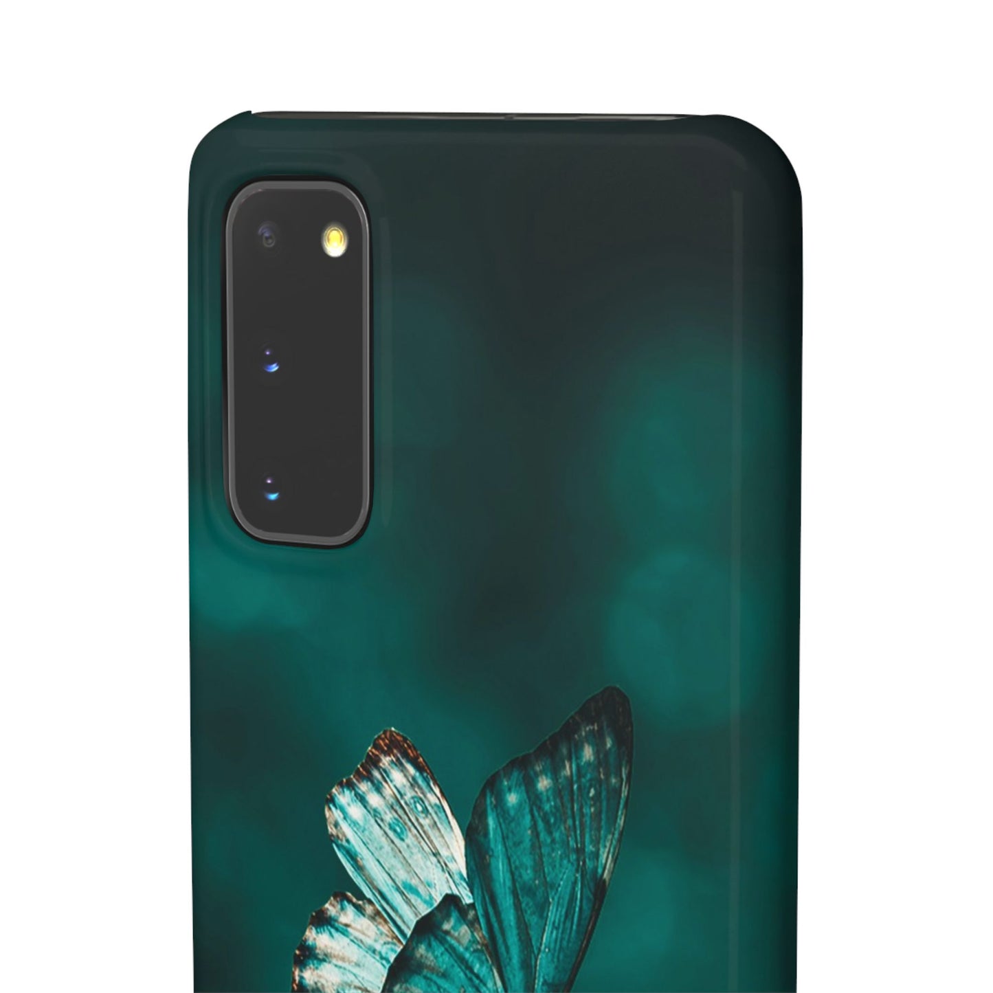 Butterfly Cajasol - Perfect for Nature Lovers