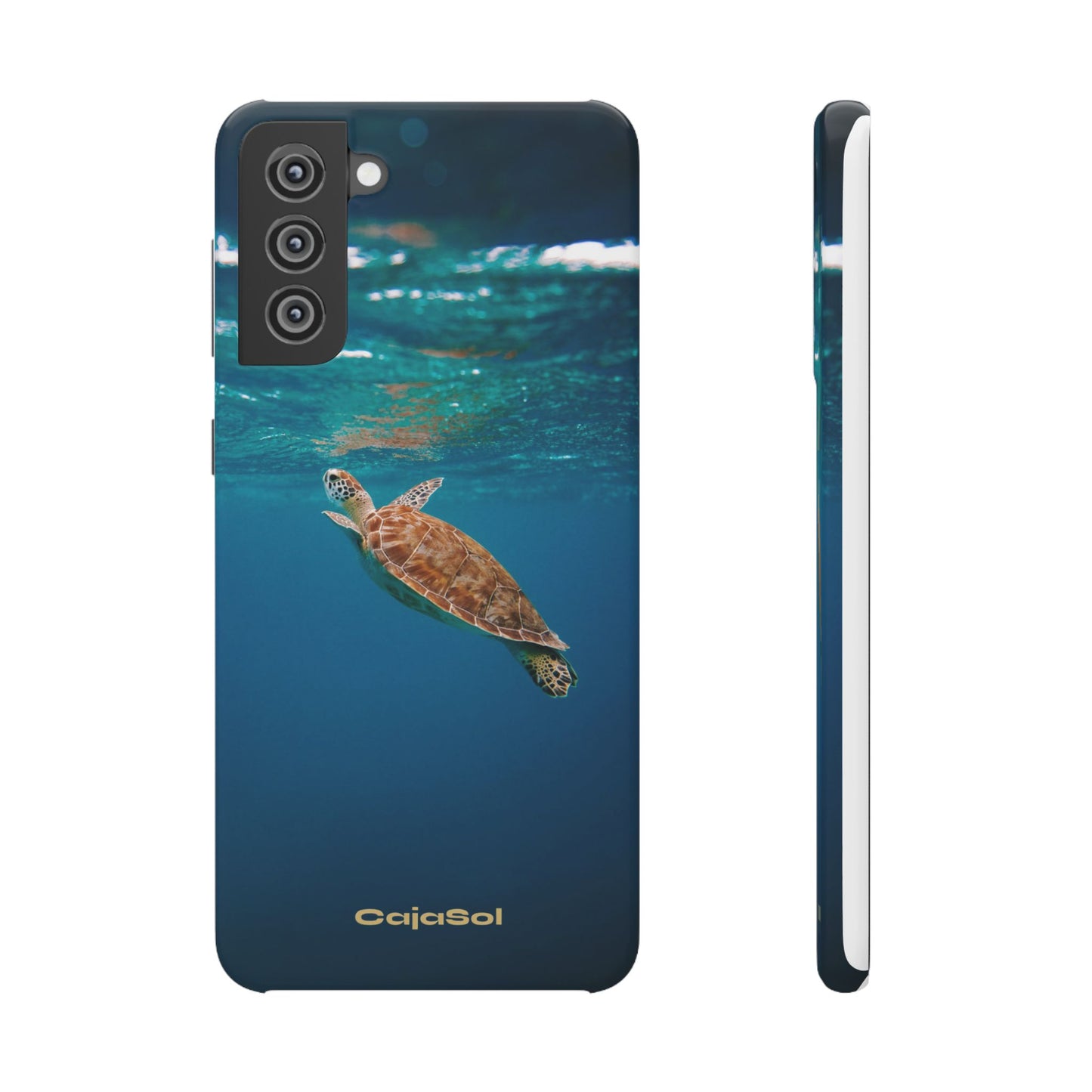 Sea Turtle Cajasol - Perfect for Beach Lovers