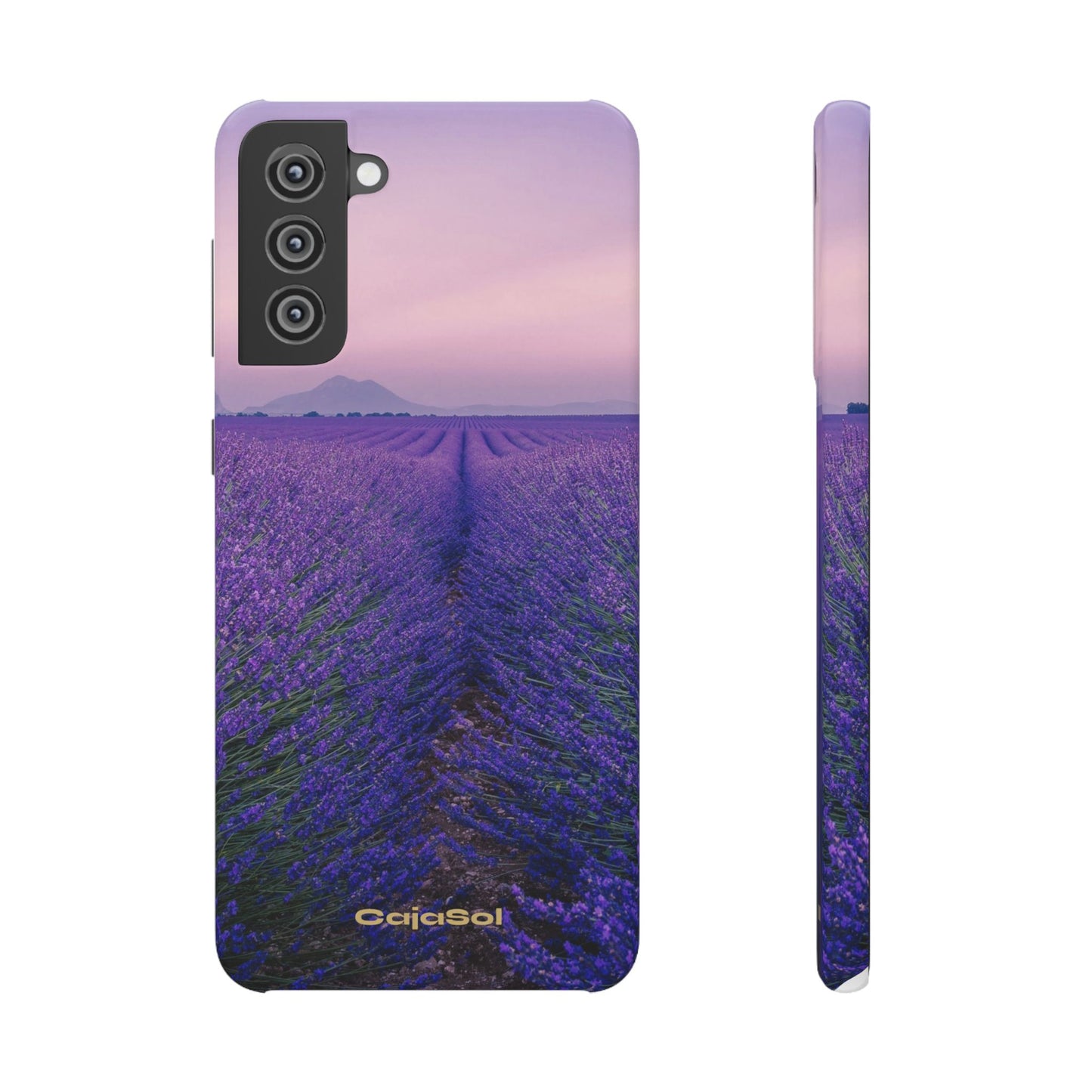 Lavender Fields Cajasol - A Floral Touch for Nature Lovers