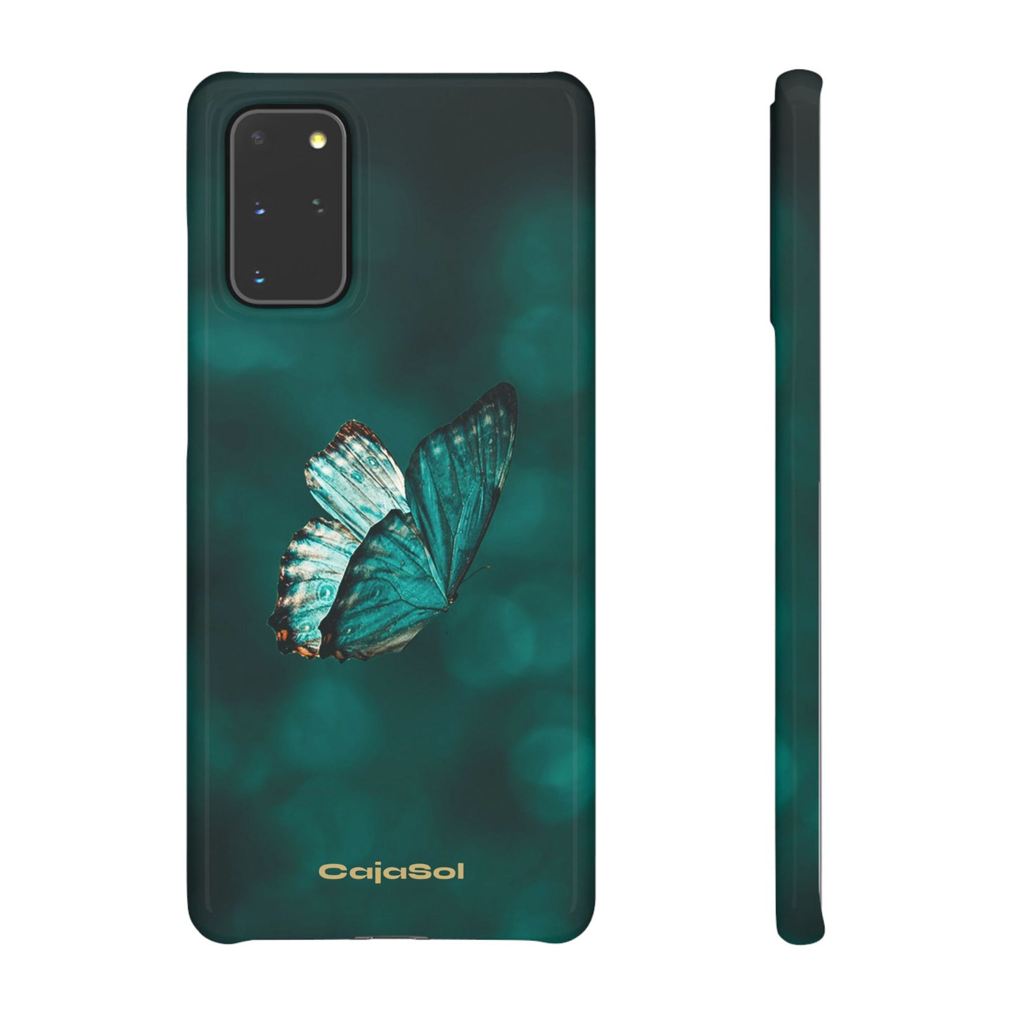 Butterfly Cajasol - Perfect for Nature Lovers
