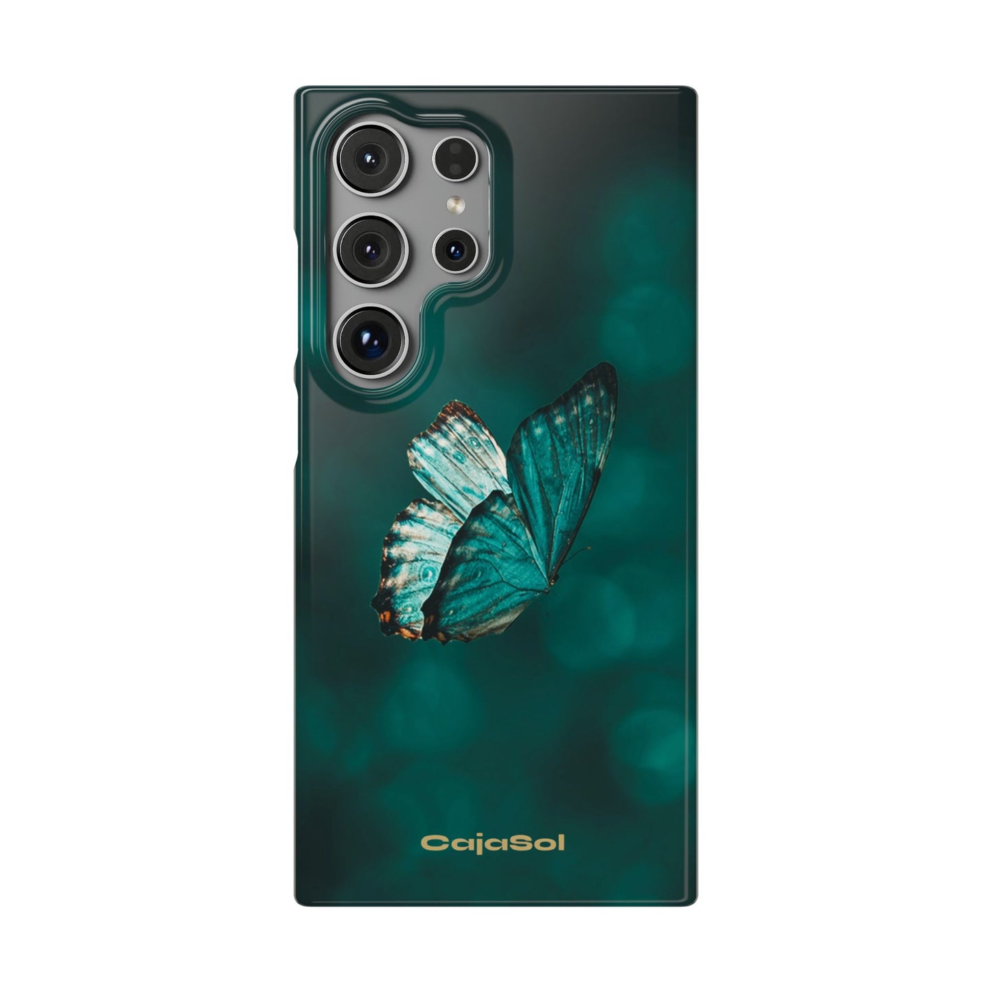 Butterfly Cajasol - Perfect for Nature Lovers