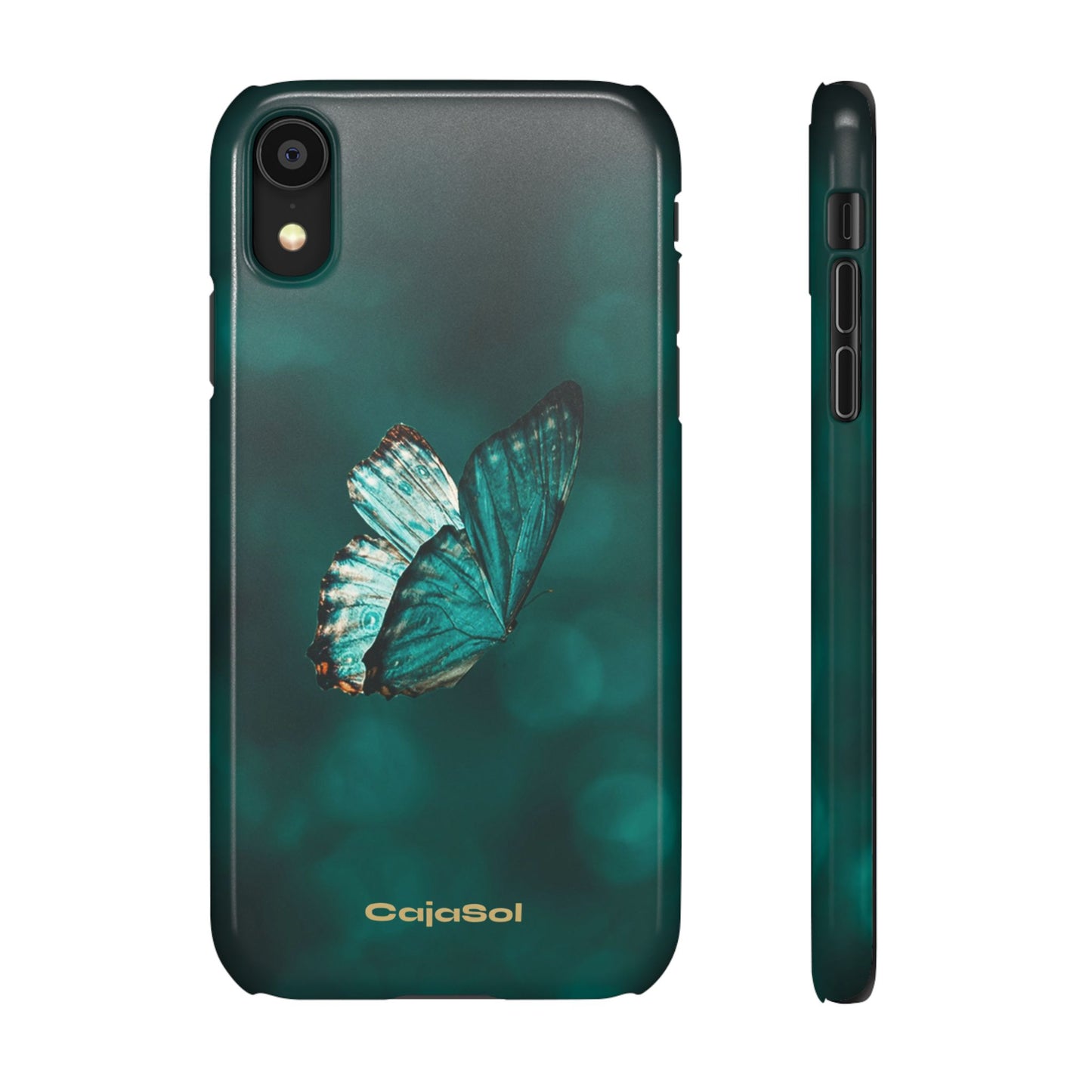 Butterfly Cajasol - Perfect for Nature Lovers
