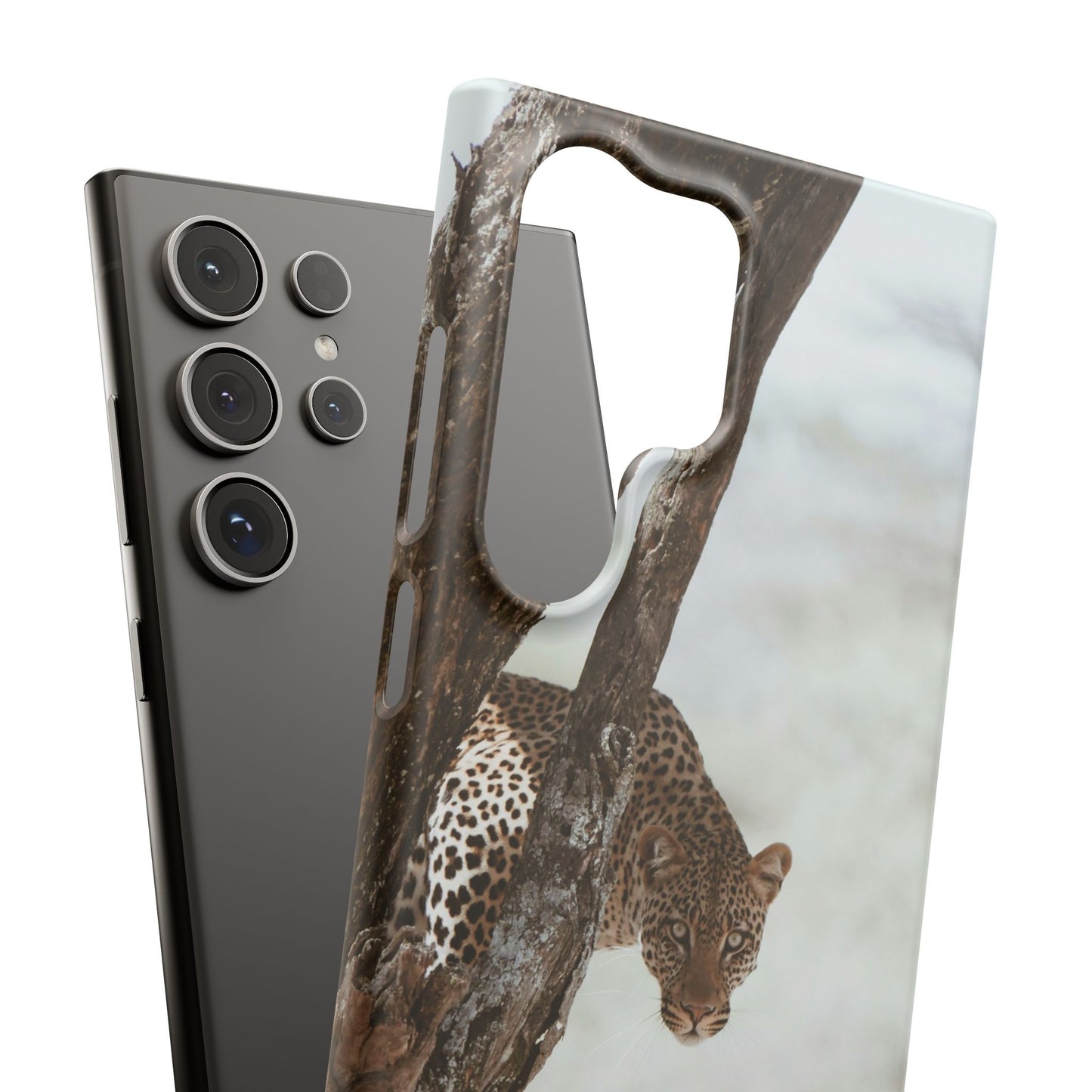 Leopard Cajasol - Wildlife Vibes