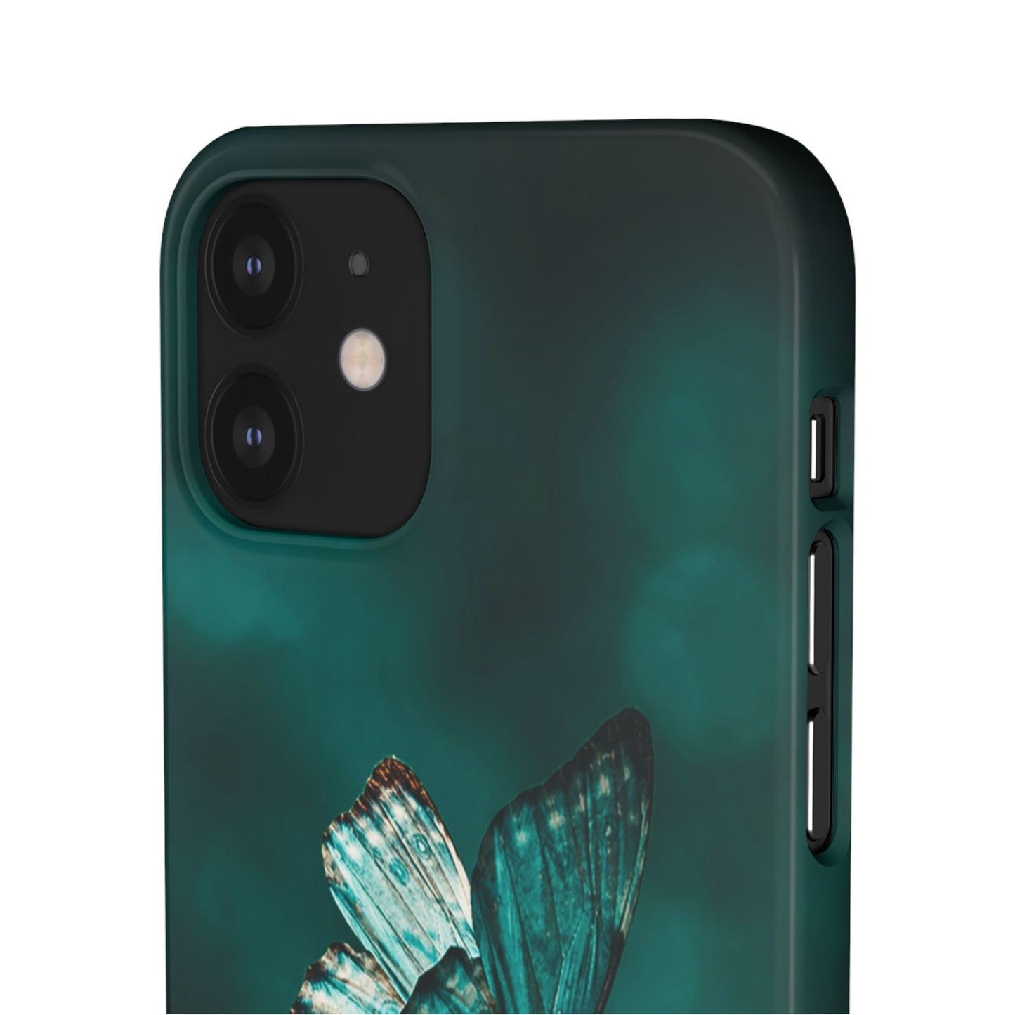 Butterfly Cajasol - Perfect for Nature Lovers