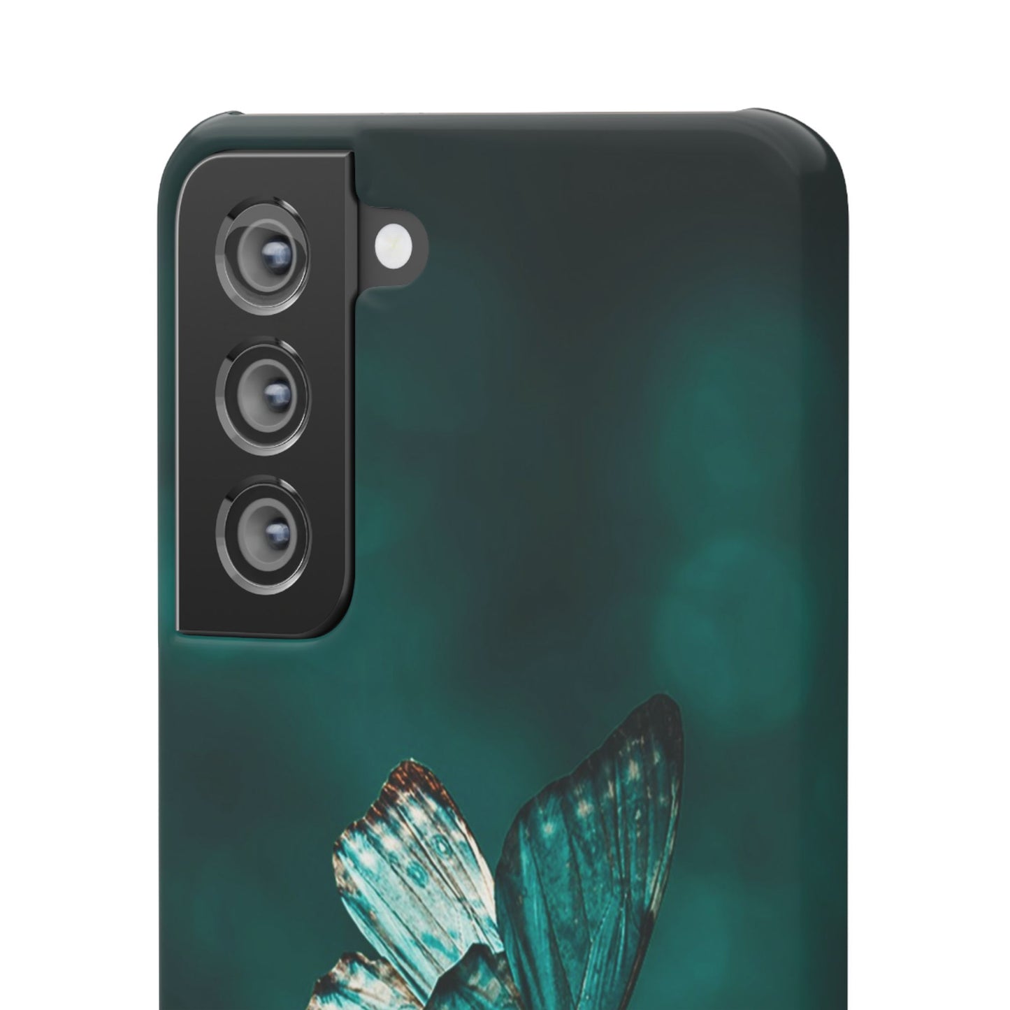 Butterfly Cajasol - Perfect for Nature Lovers
