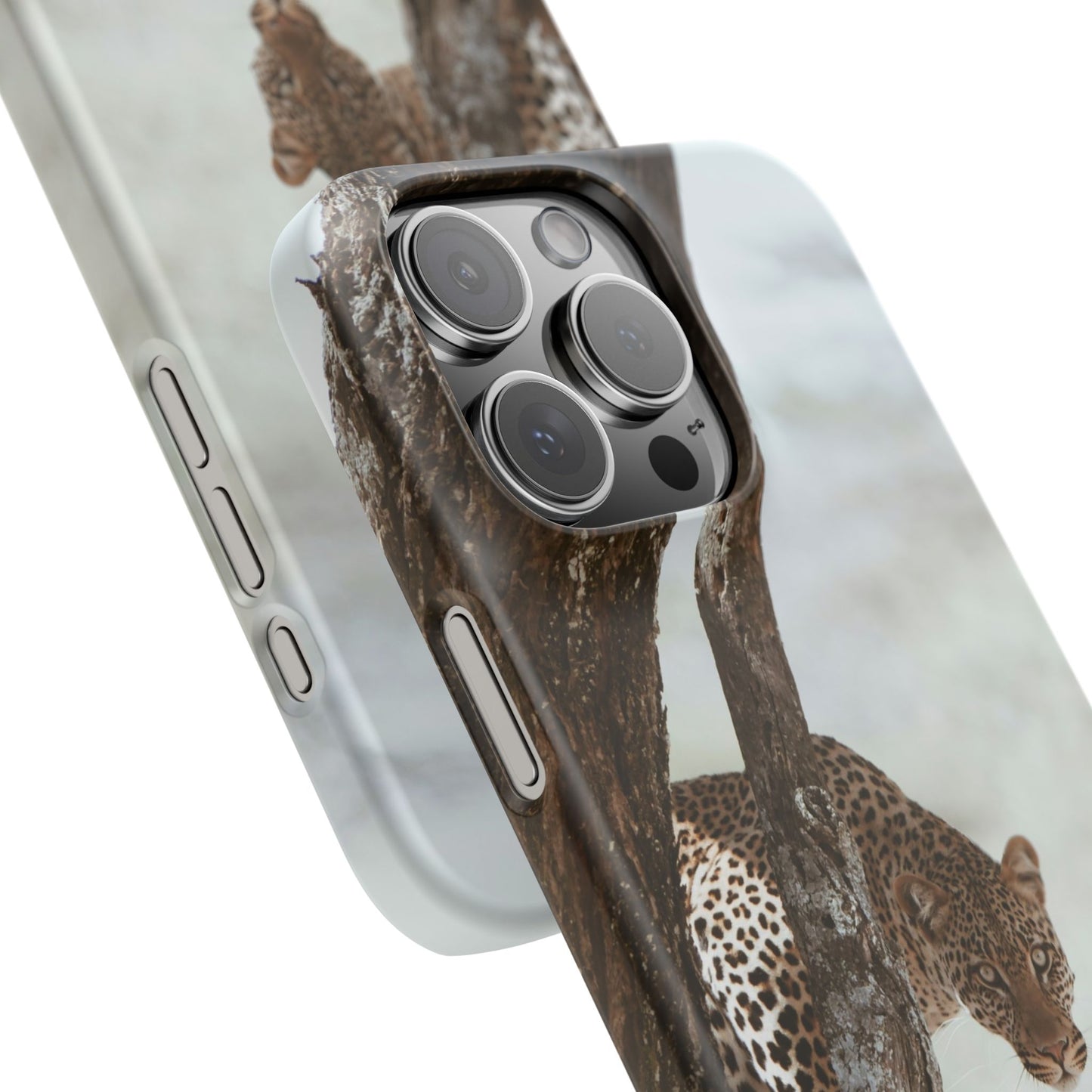 Leopard Cajasol - Wildlife Vibes