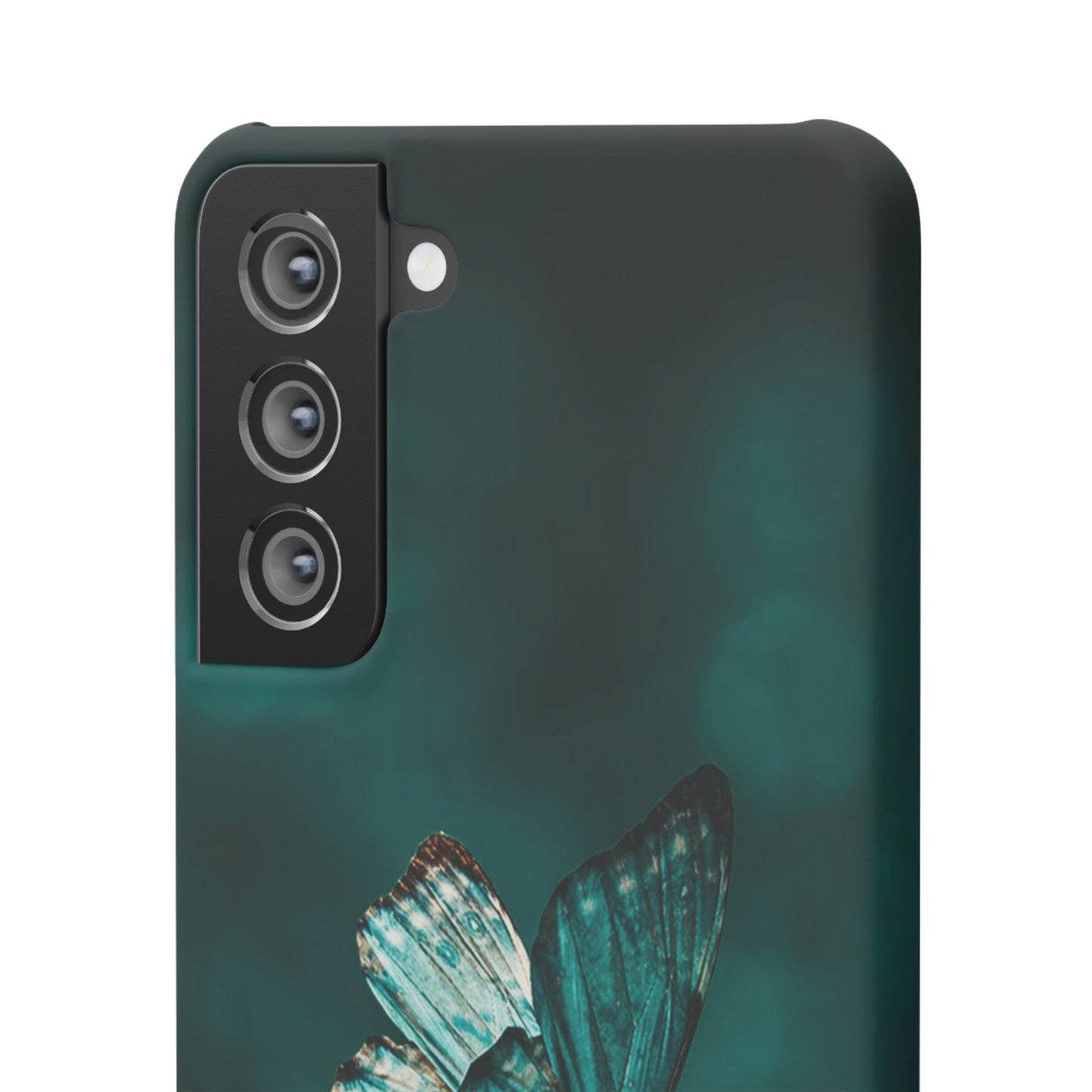Butterfly Cajasol - Perfect for Nature Lovers