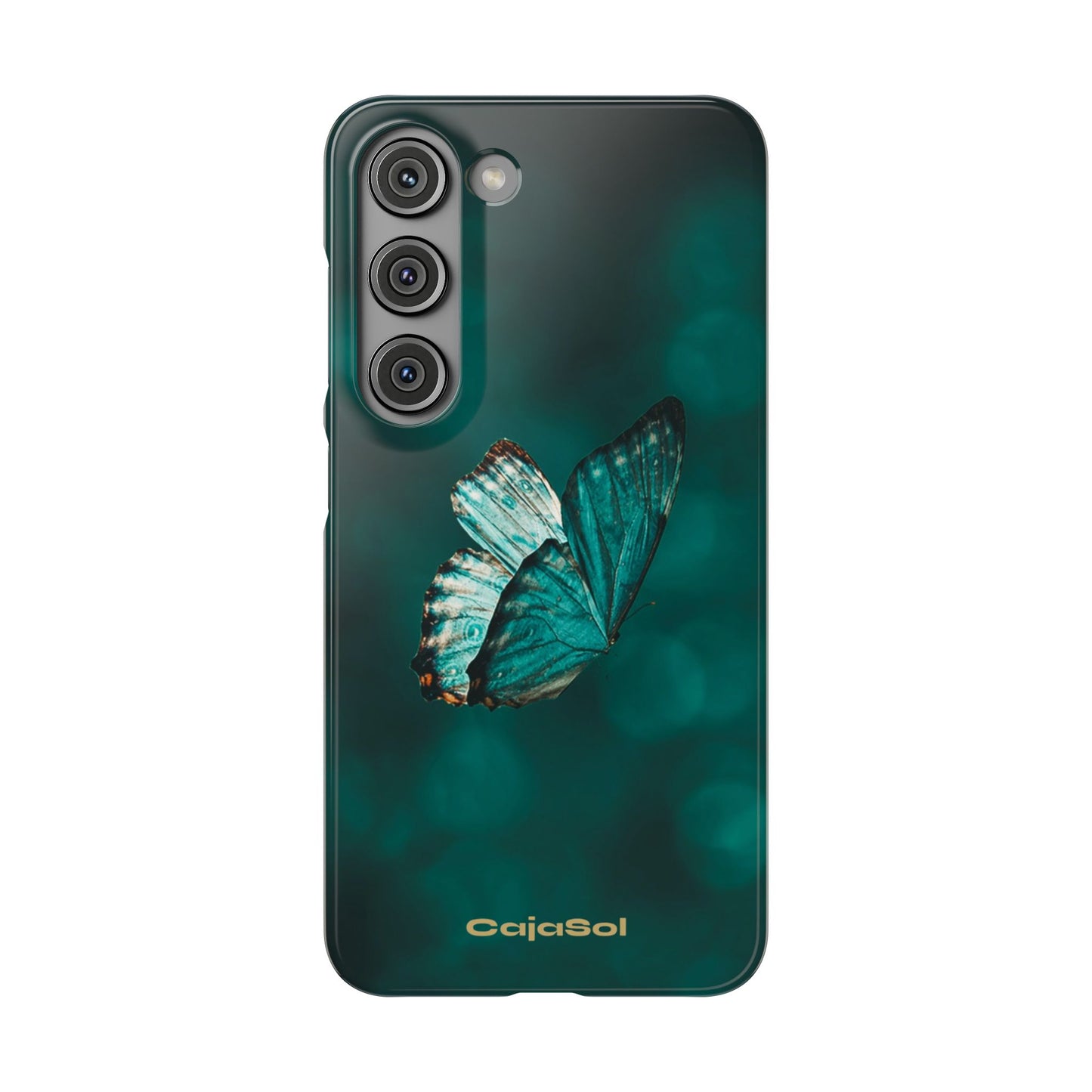 Butterfly Cajasol - Perfect for Nature Lovers