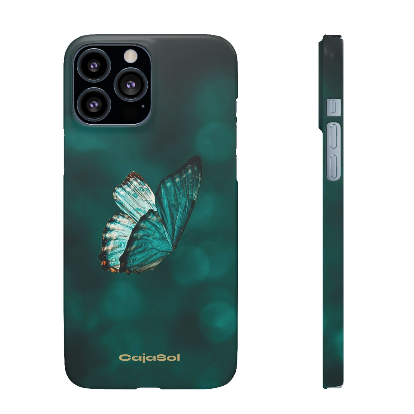 Butterfly Cajasol - Perfect for Nature Lovers
