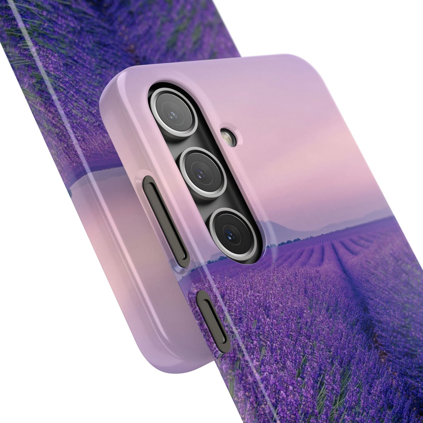 Lavender Fields Cajasol - A Floral Touch for Nature Lovers