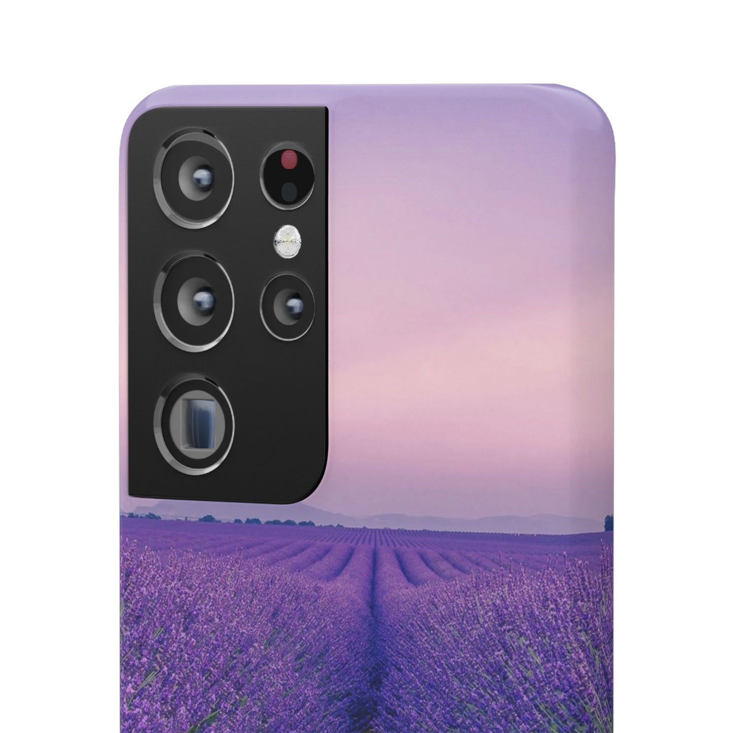 Lavender Fields Cajasol - A Floral Touch for Nature Lovers