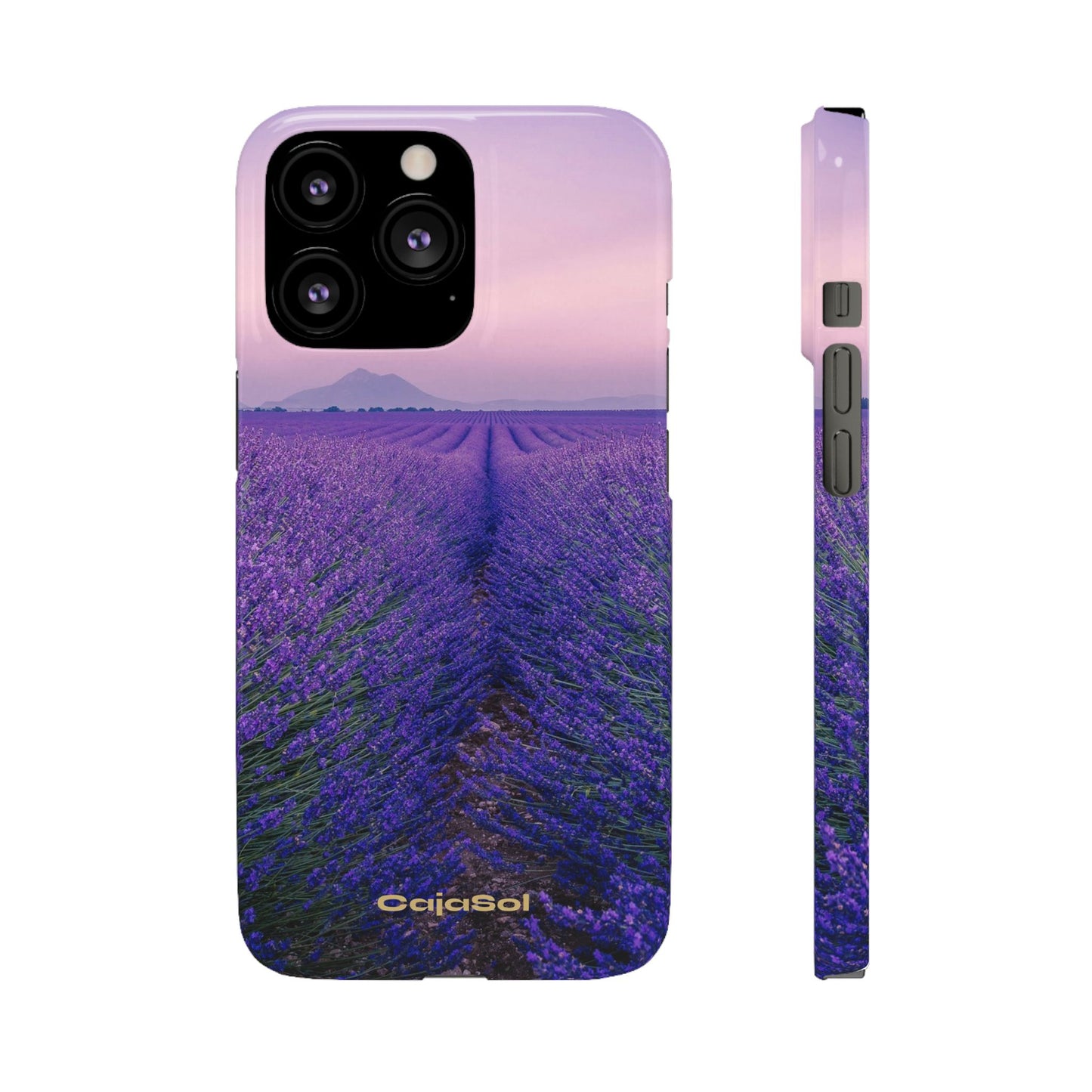 Lavender Fields Cajasol - A Floral Touch for Nature Lovers